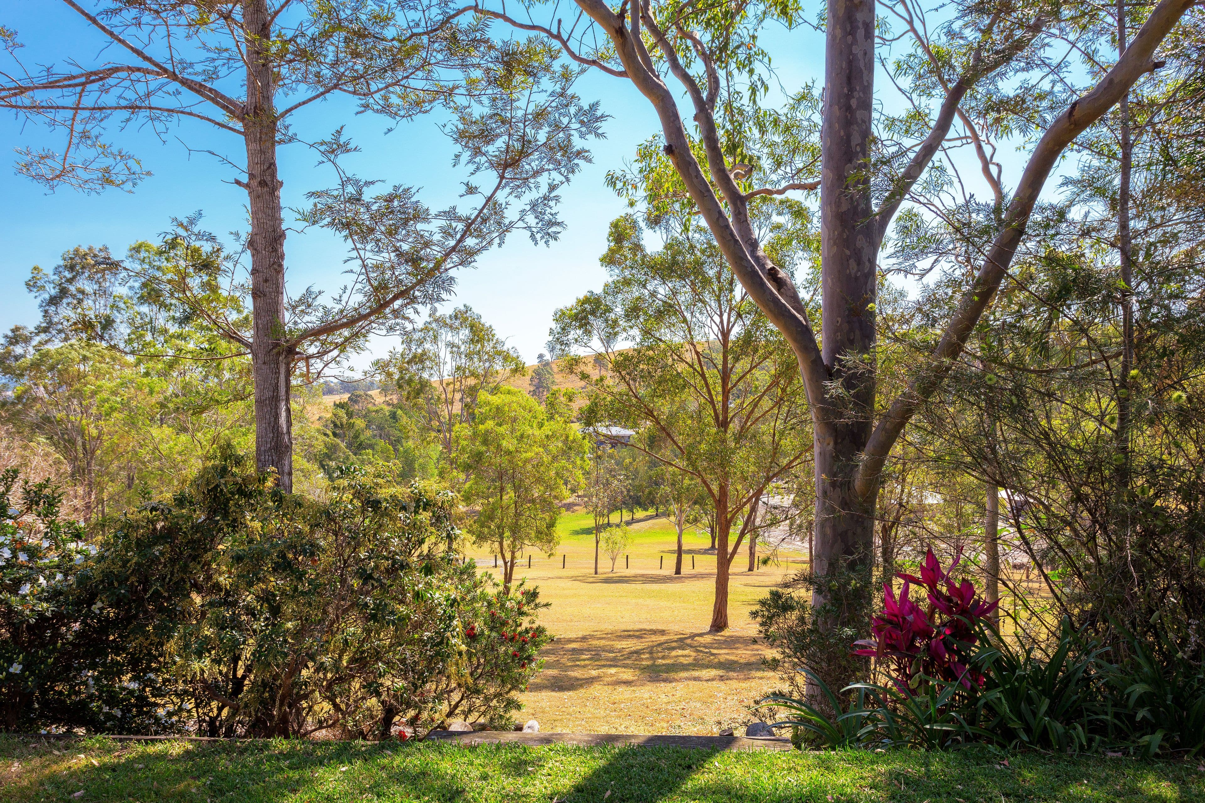 3 Kathryn Place, Taree NSW 2430, Taree - Thumbnail 3
