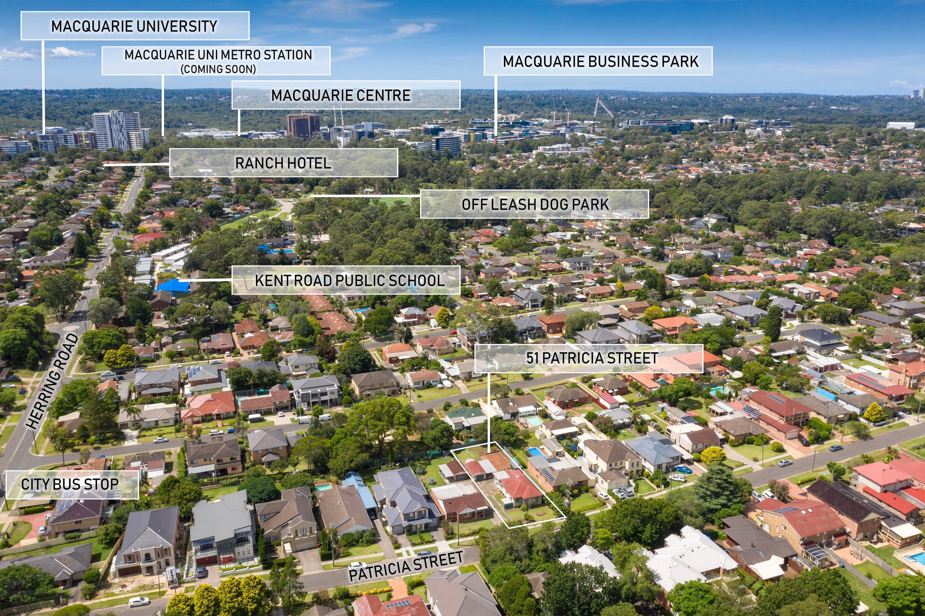 51 Patricia Street, Marsfield - Thumbnail 3