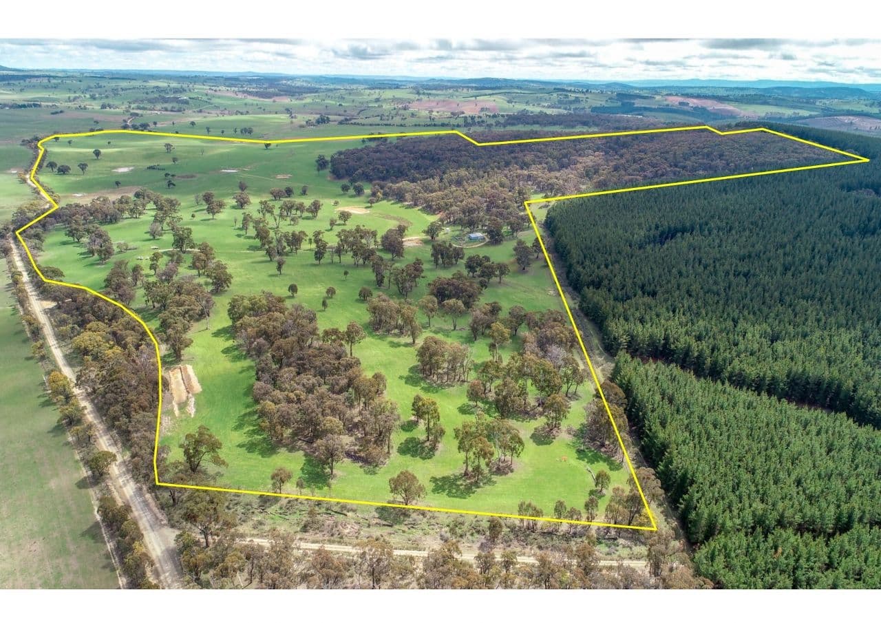 203 Schumachers Road, Triangle Flat NSW 2795, Triangle Flat - Image 1