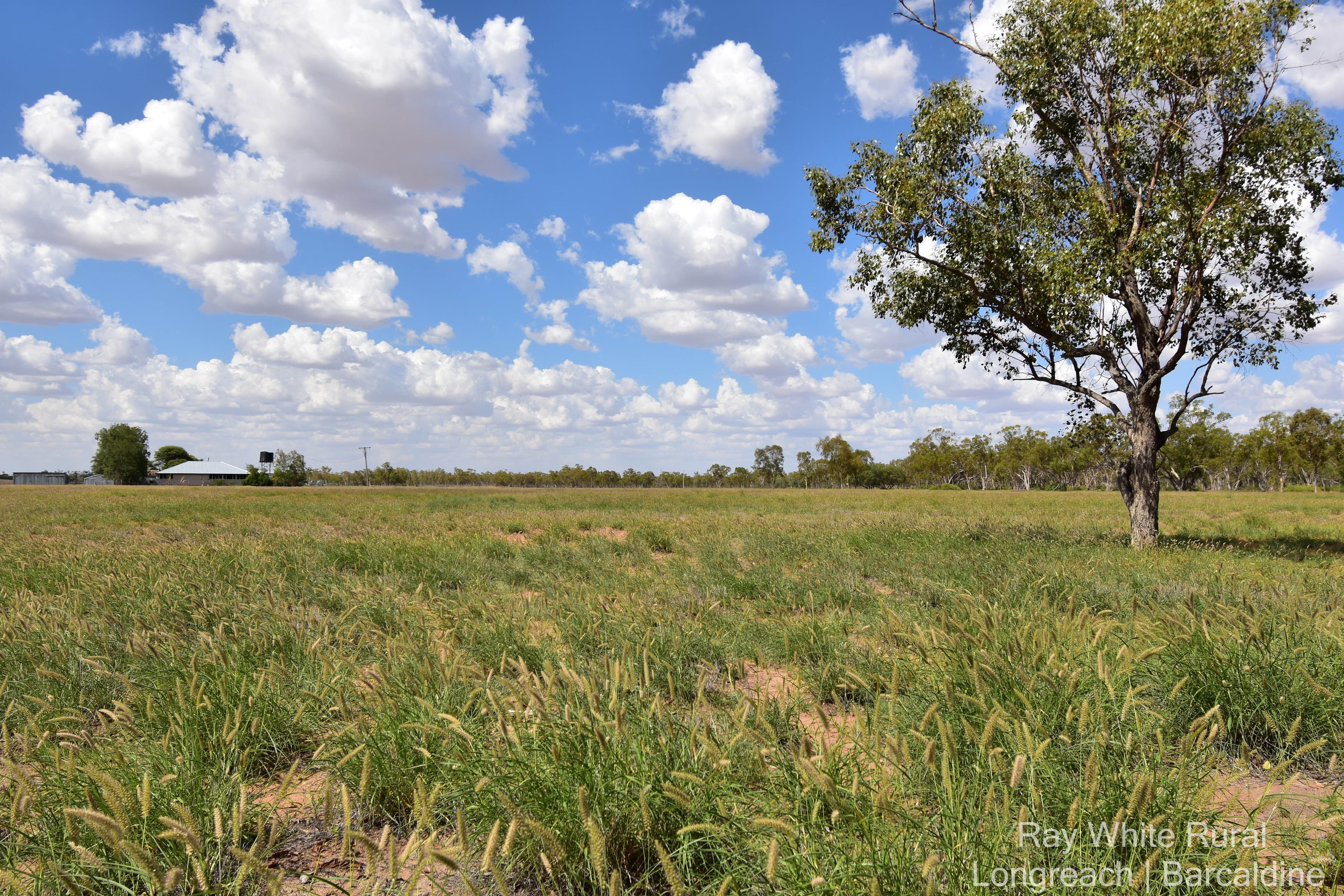 56880 Capricorn Highway, Barcaldine QLD 4725, Barcaldine - Thumbnail 2