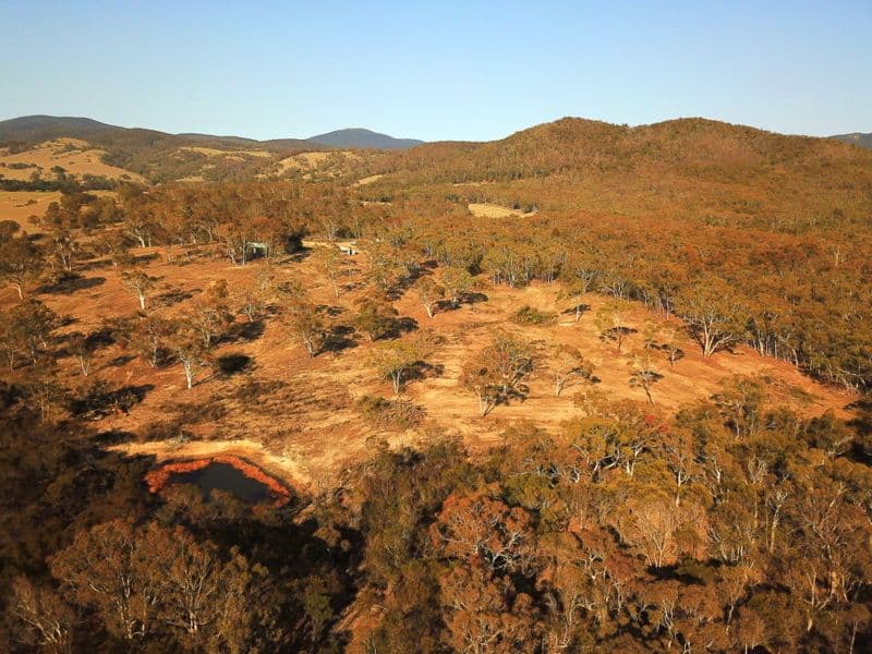 507 Little Bombay Road, Braidwood NSW 2622, Braidwood - Thumbnail 7