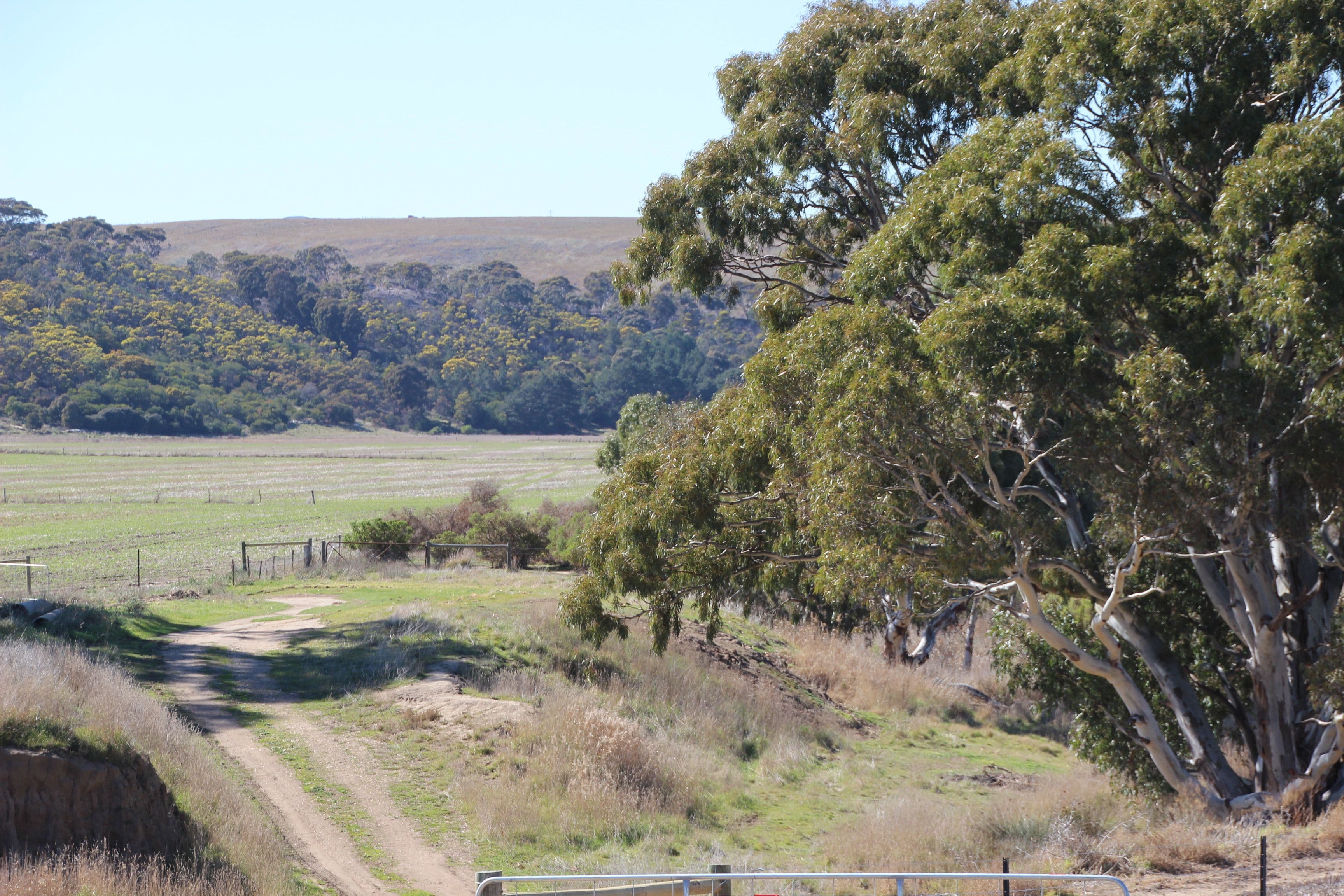 1096 Glenmore Road, Rowsley VIC 3340, Rowsley - Thumbnail 4