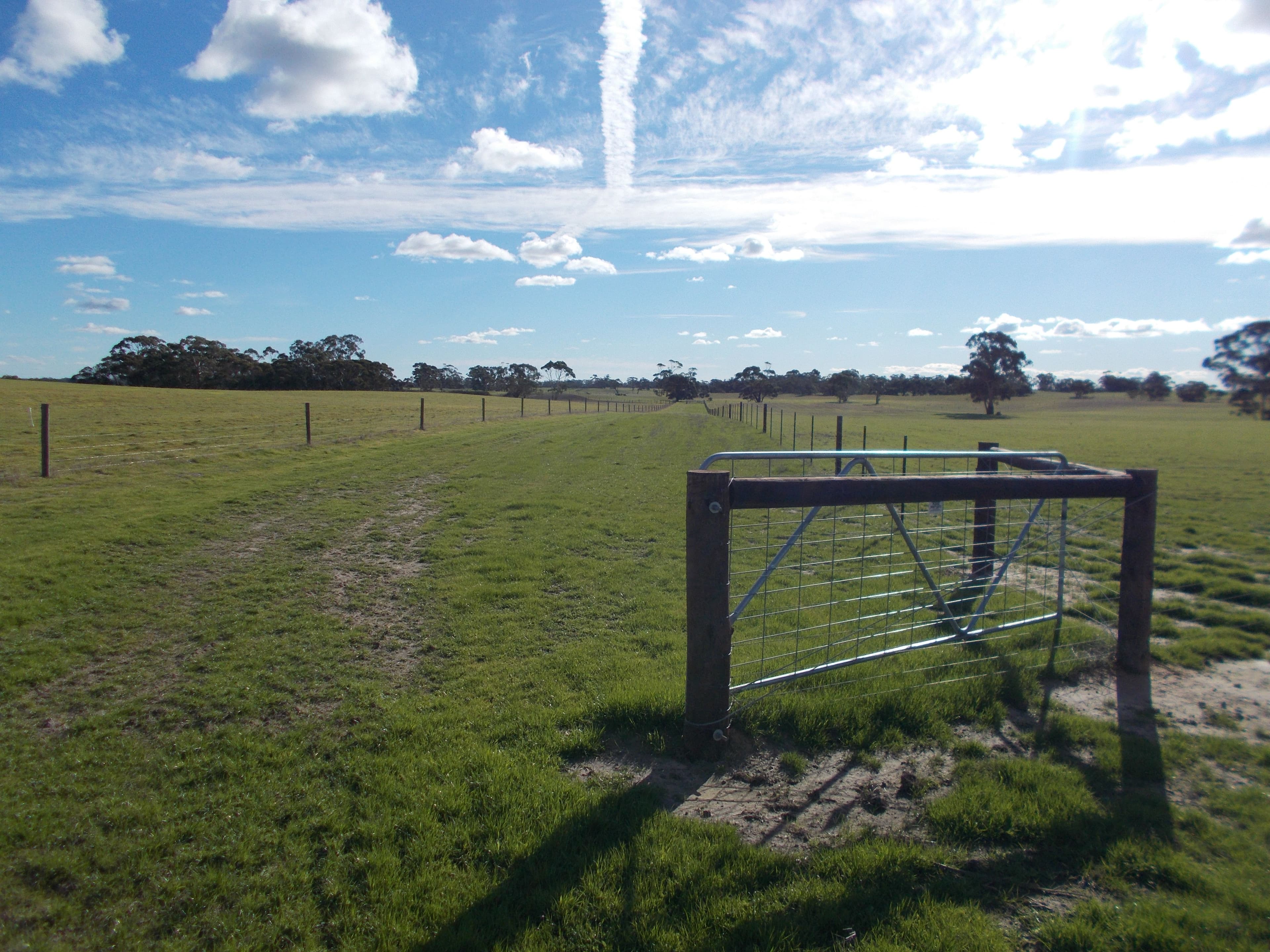 77 O'Connells Road, Bordertown SA 5268, Bordertown - Thumbnail 6