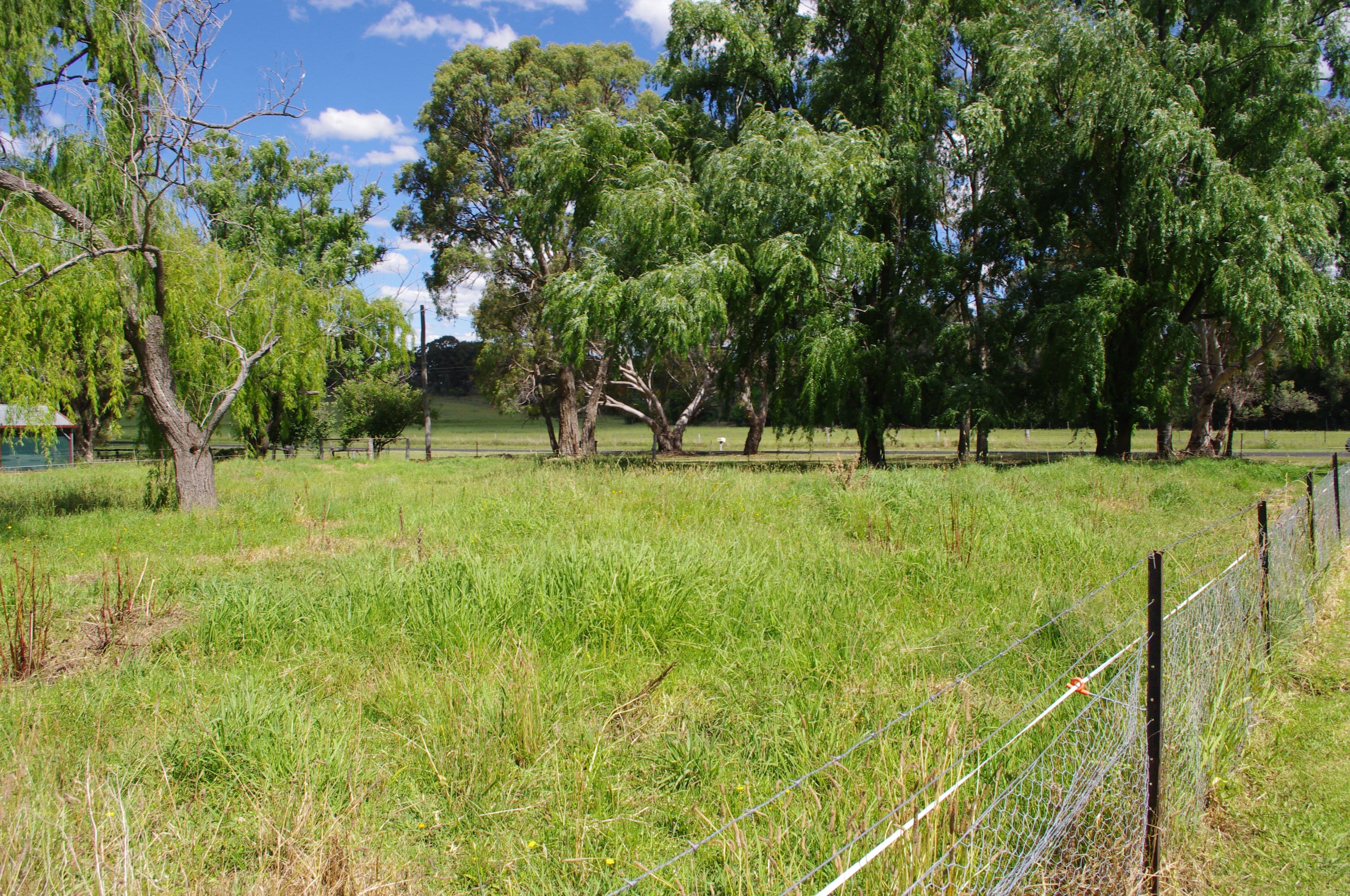 Inverell NSW 2360, Inverell - Thumbnail 4