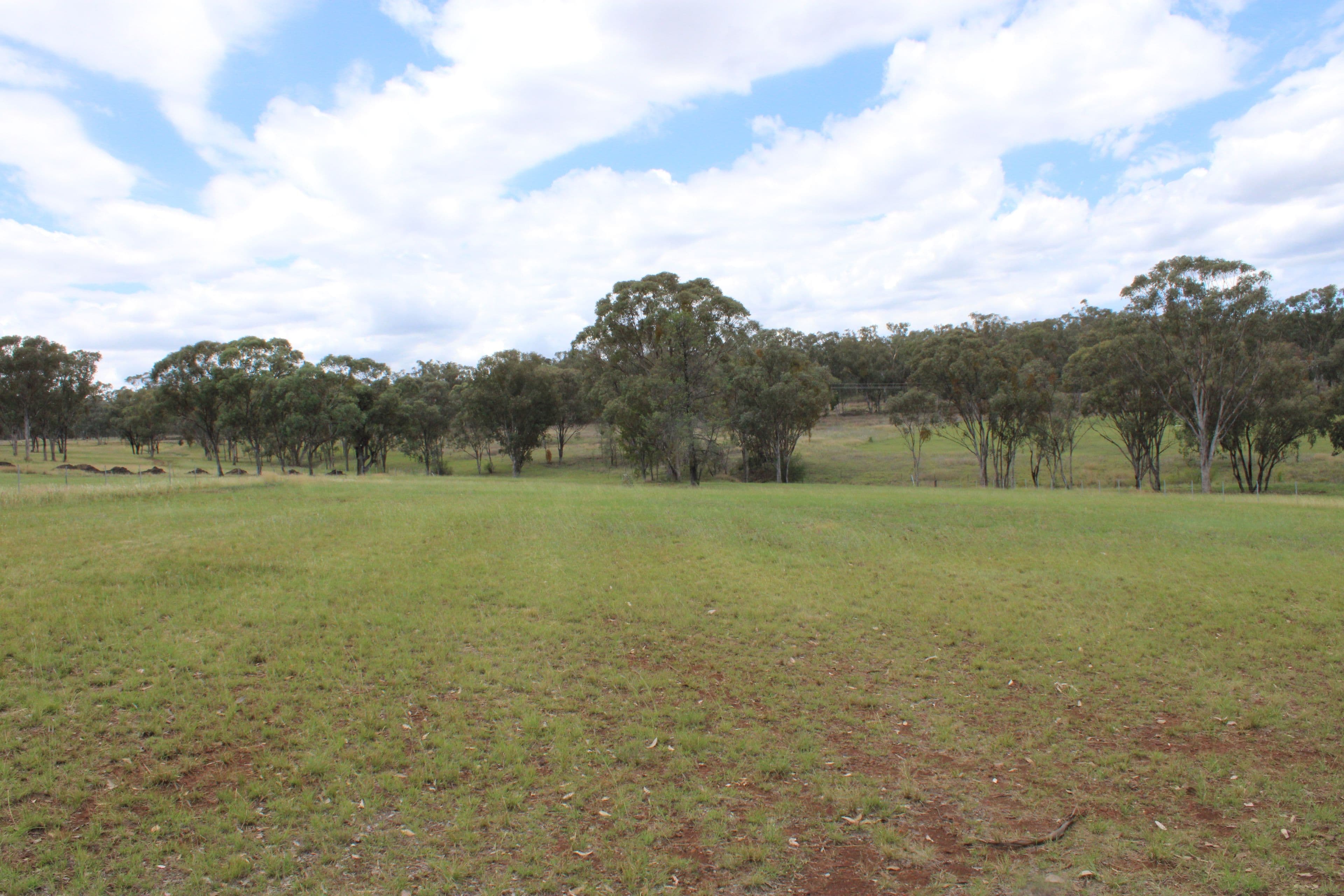 66 Bimbadeen Drive, Inverell NSW 2360, Inverell - Thumbnail 8