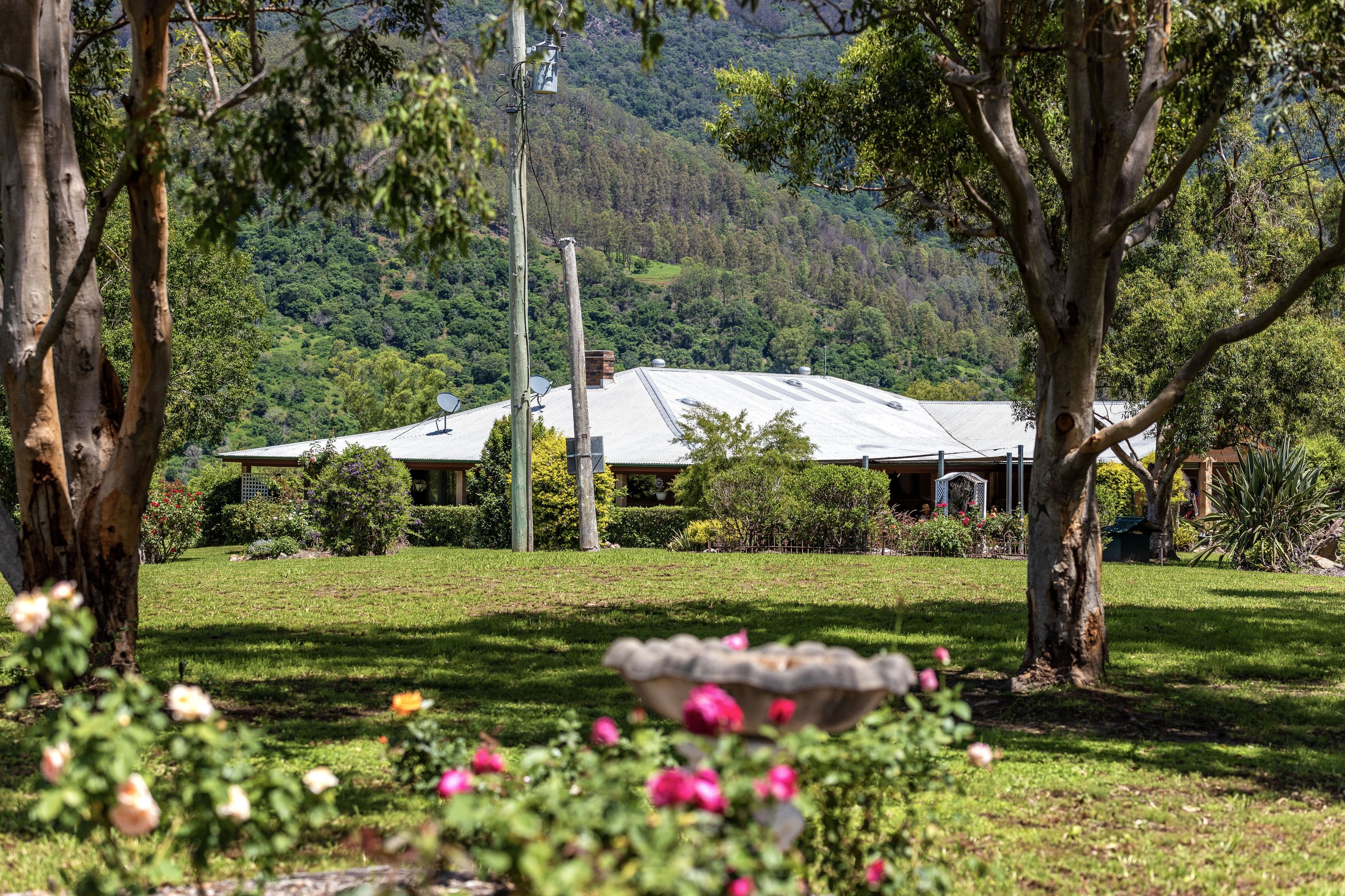 1187 Nowendoc Road, Mount George NSW 2424, Mount George - Thumbnail 2