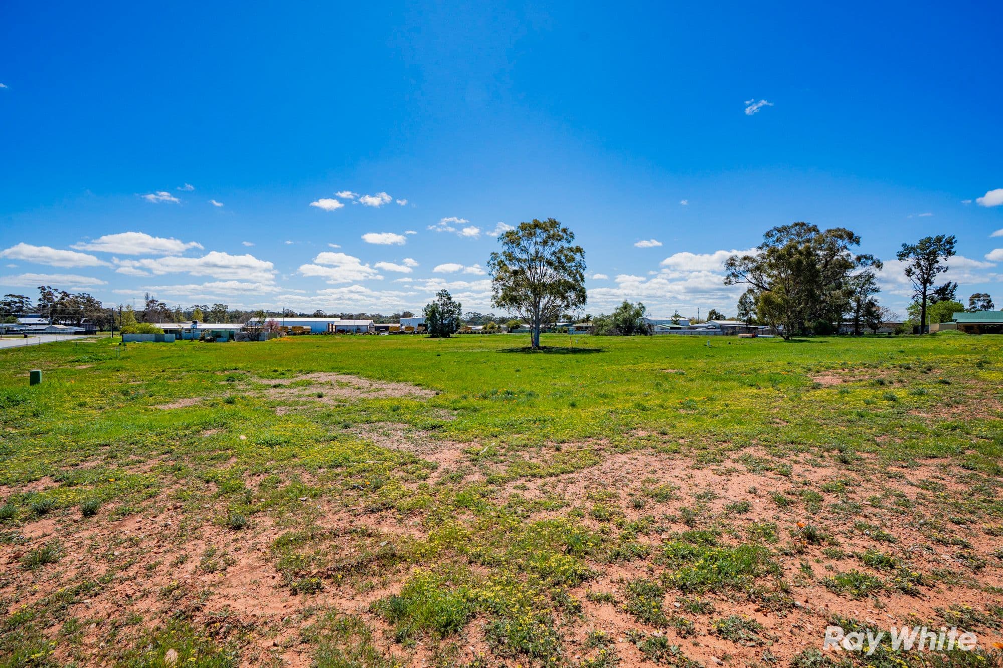 Coolamon NSW 2701, Coolamon - Thumbnail 3