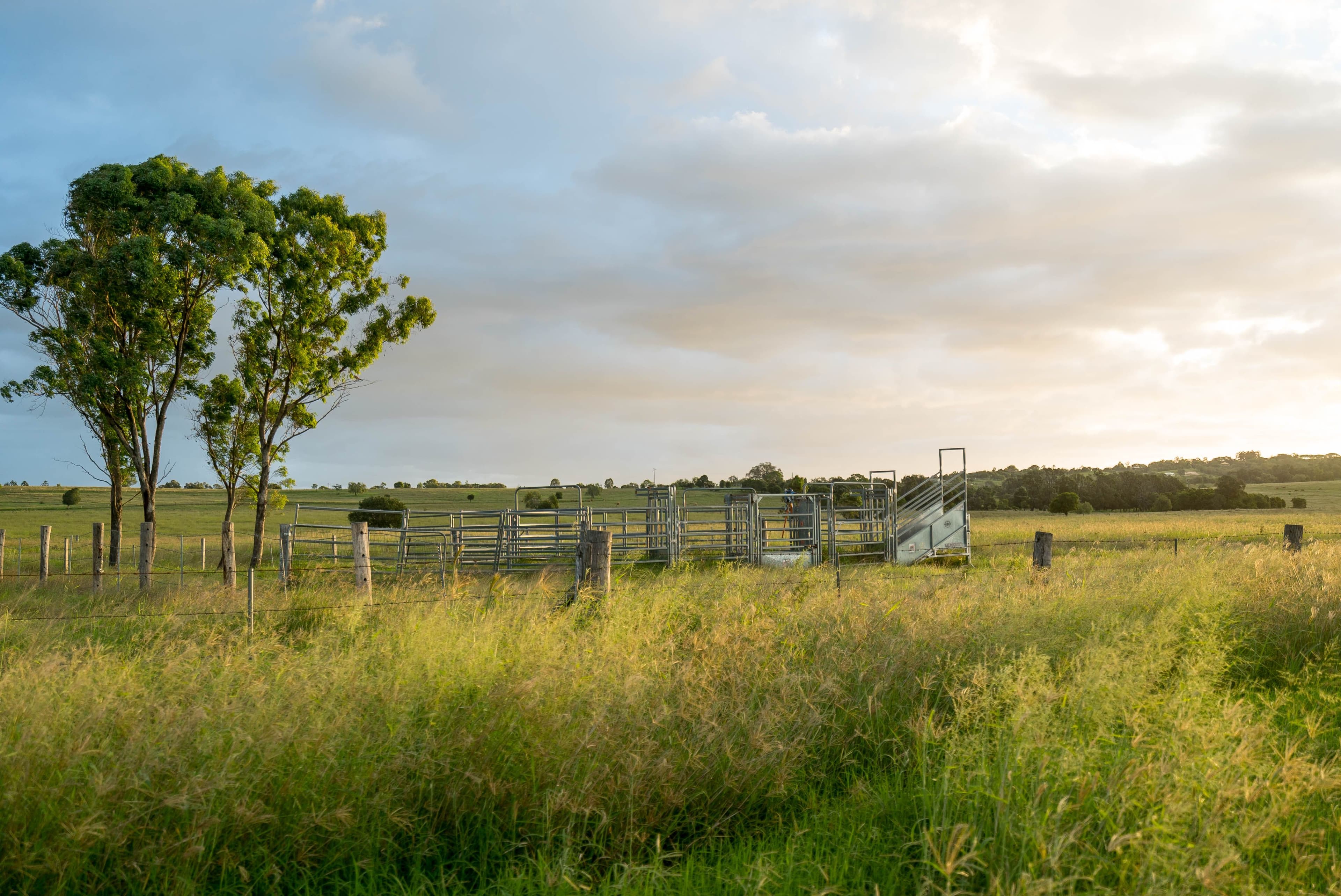  19 Schubels Road, Marburg QLD 4346, Marburg - Thumbnail 5