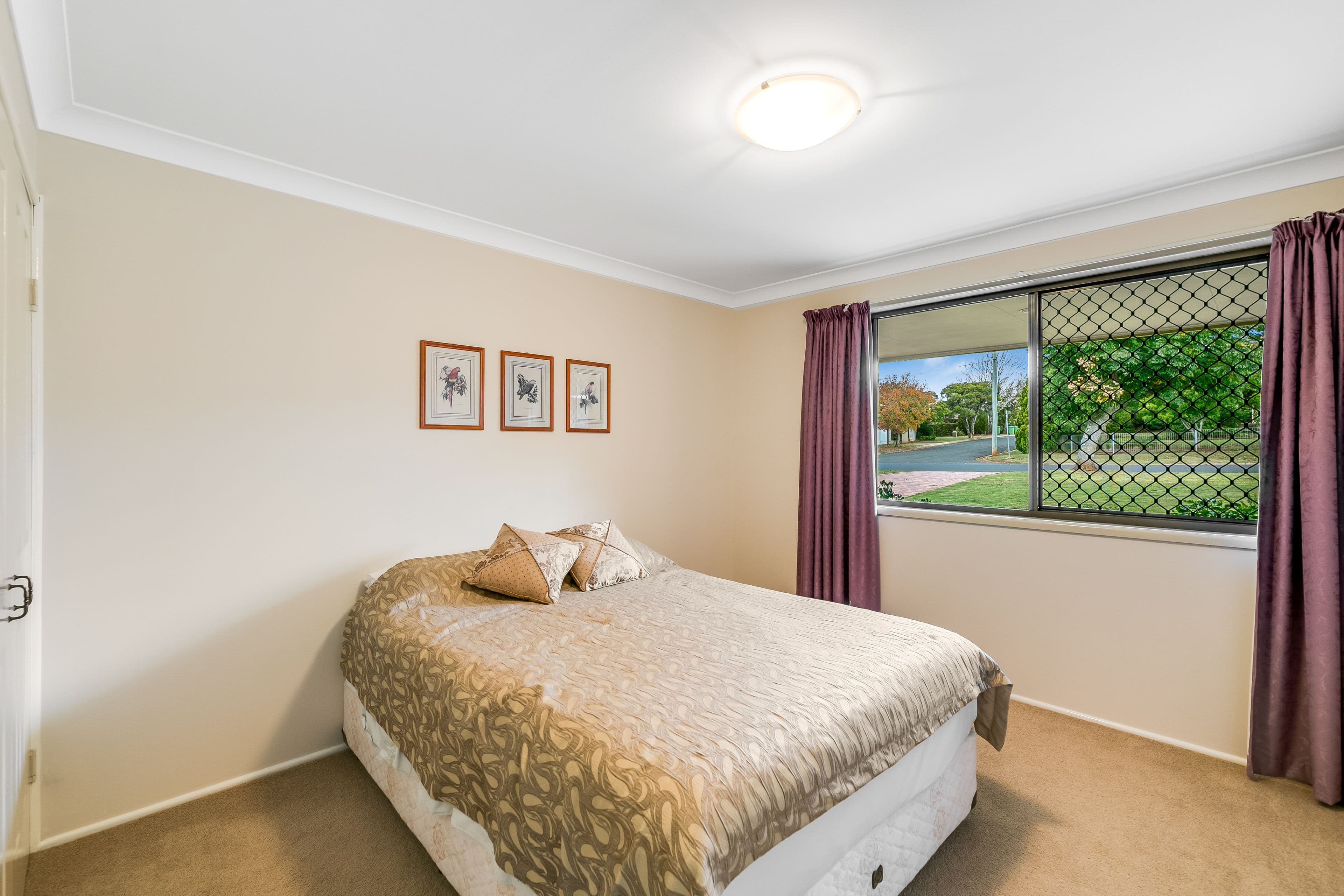 19 Jason Street, Wilsonton Heights QLD 4350, Wilsonton Heights - Thumbnail 8