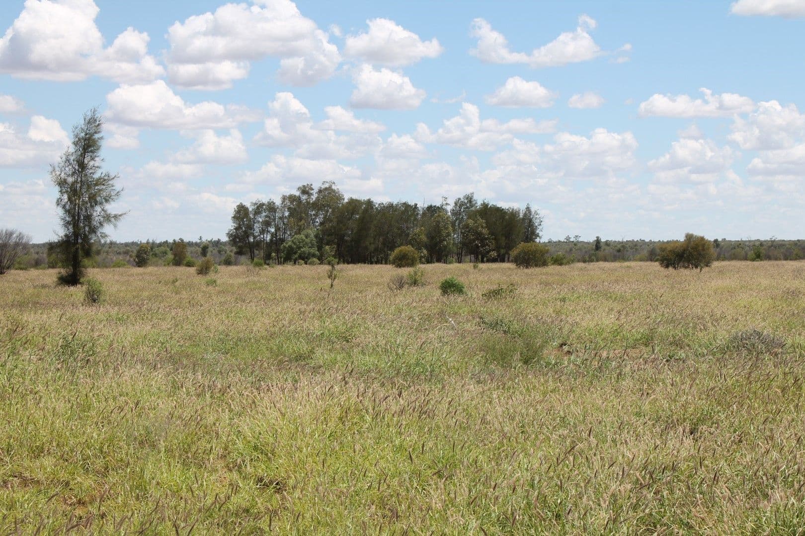 St George QLD 4487, St George - Thumbnail 2