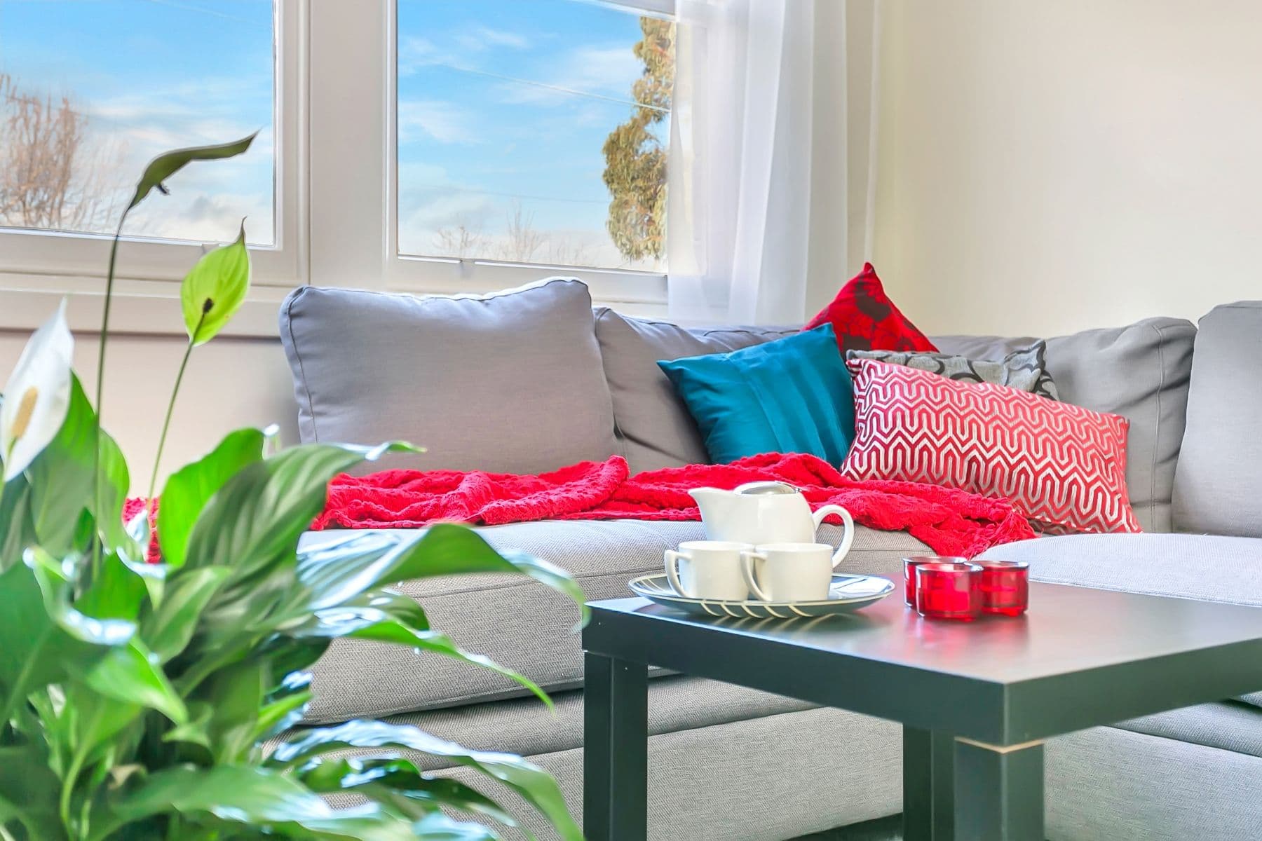 65 Barry Road, Oaklands Park SA 5046, Oaklands Park - Thumbnail 4