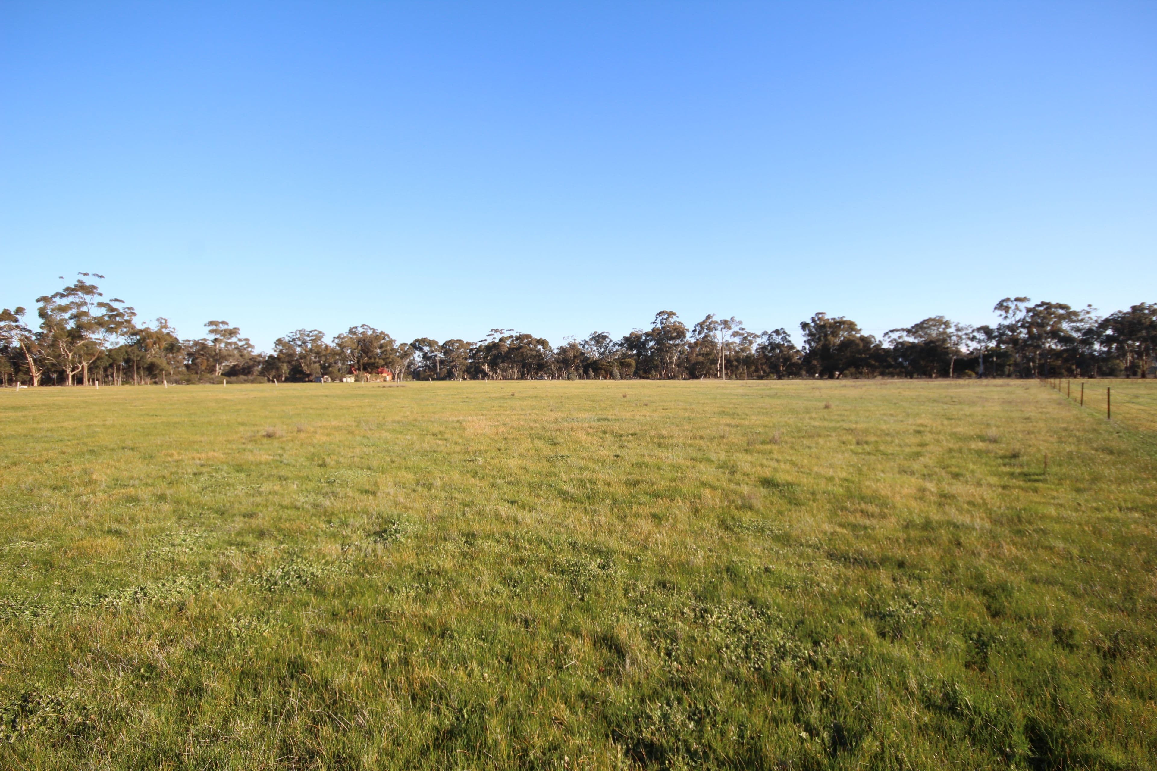 203-204 Western Highway, Deep Lead VIC 3381, Deep Lead - Thumbnail 2
