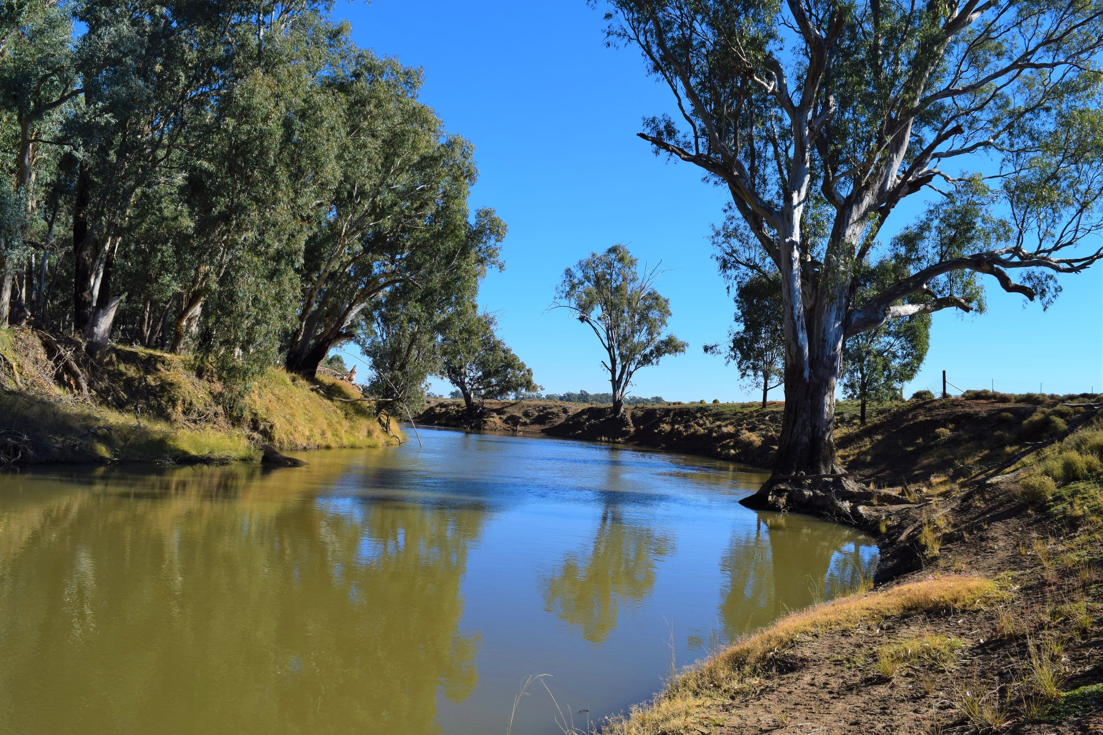 45 North Condobolin Road, Forbes NSW 2871, Forbes - Image 1