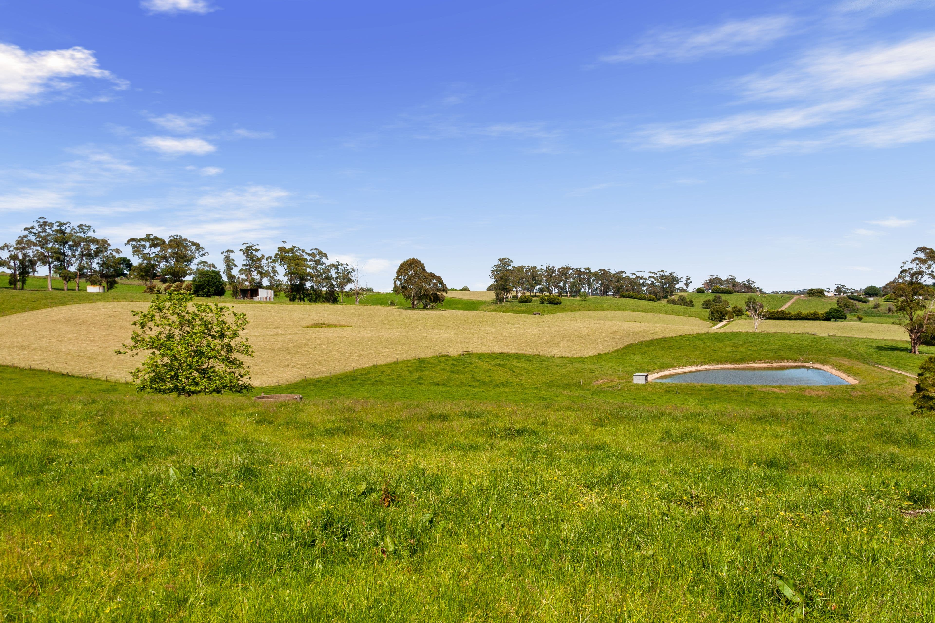 173 Torwood-Topiram Road,, Hallora VIC 3818, Hallora - Thumbnail 4
