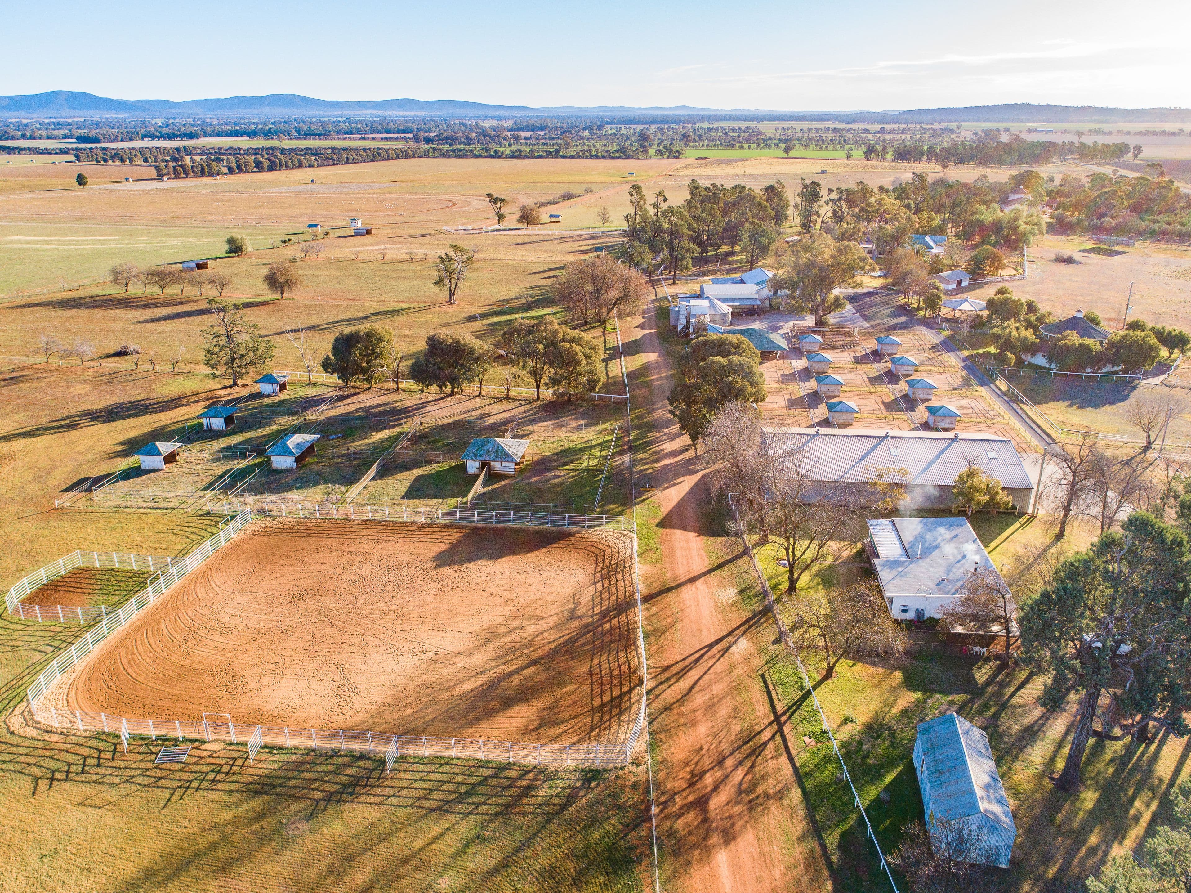 1203 Rivers Road, Canowindra NSW 2804, Canowindra - Thumbnail 2