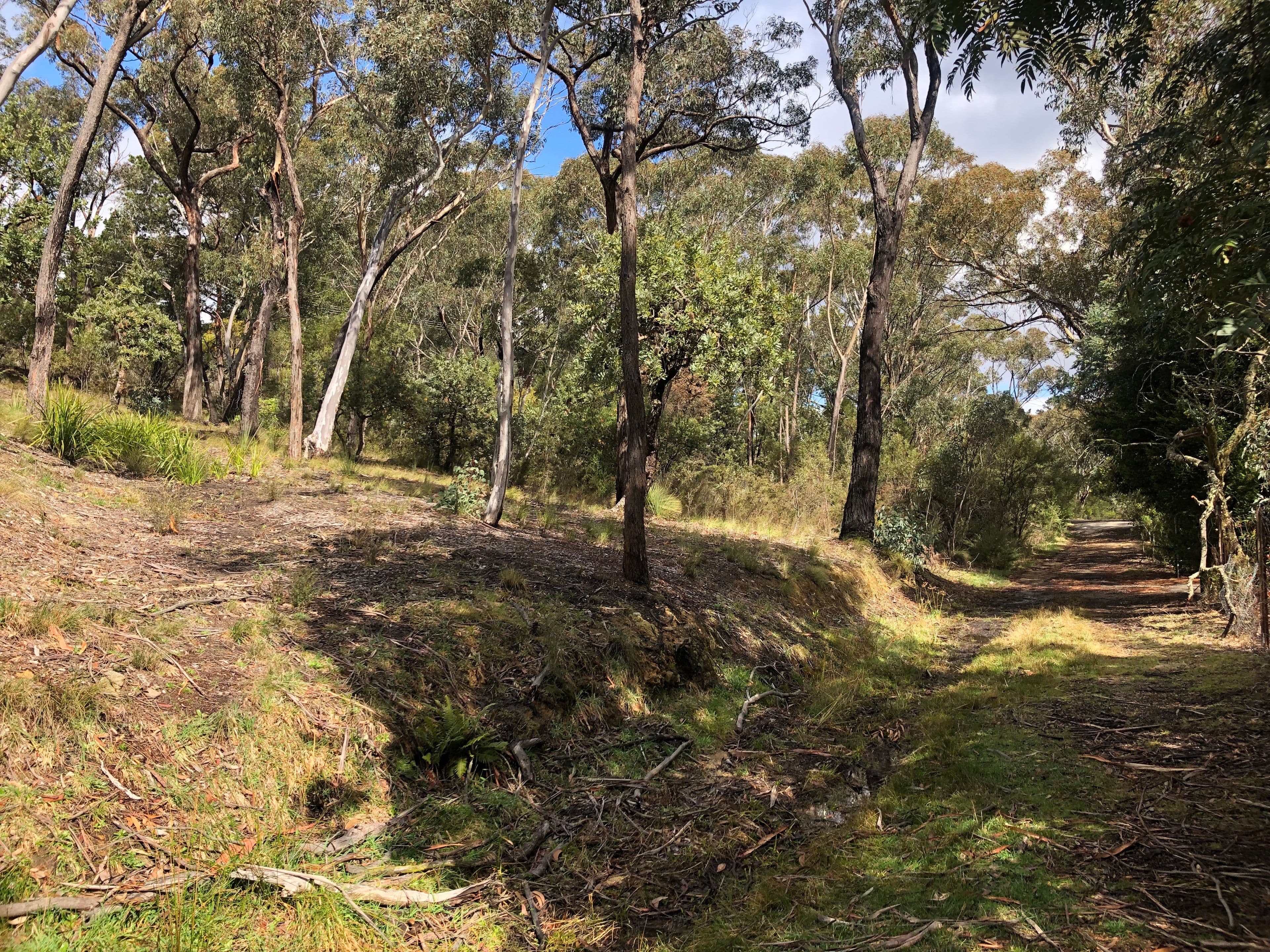 25 Innes Road, Mount Victoria NSW 2786, Mount Victoria - Thumbnail 2