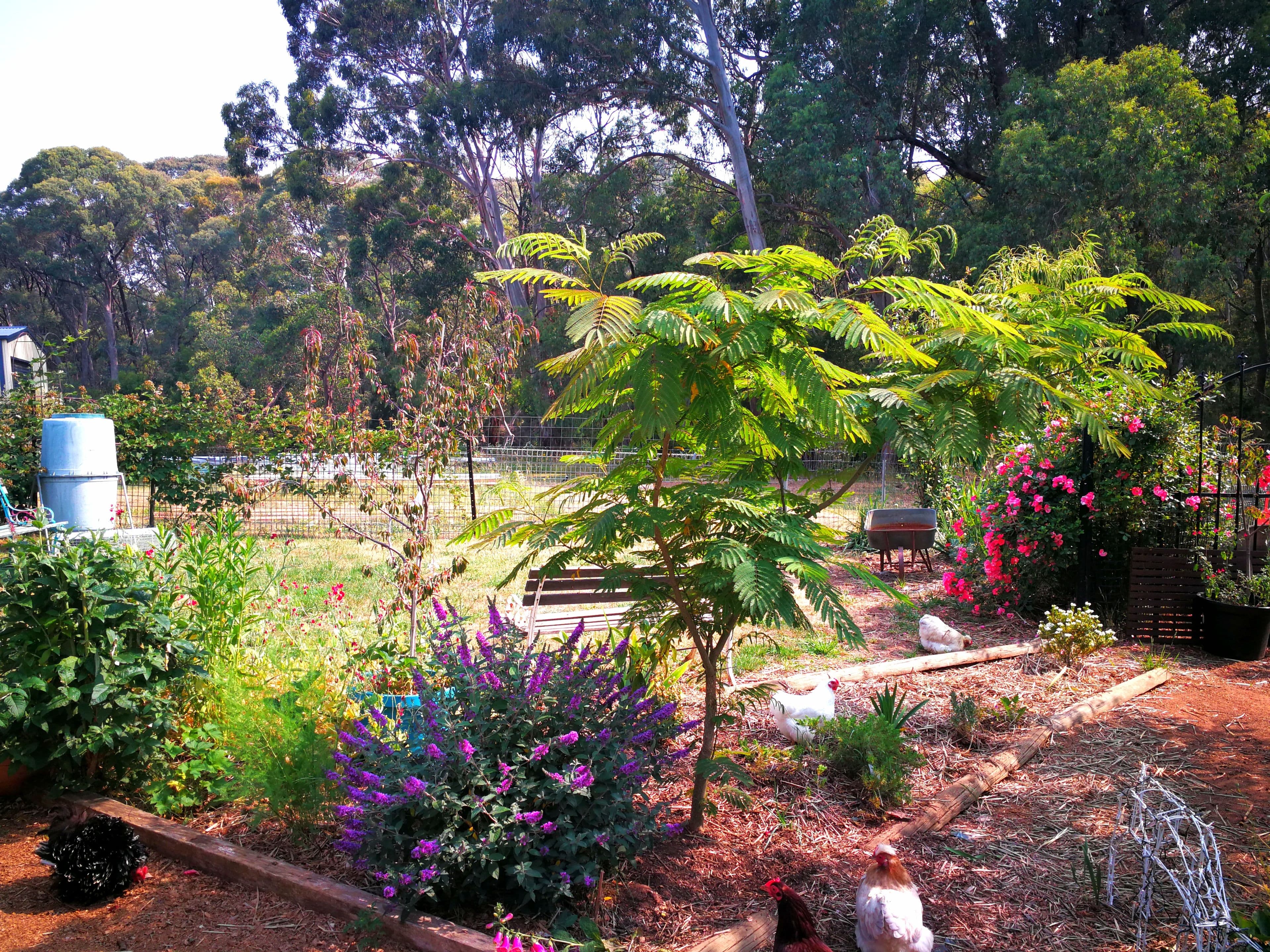 18 Bonza Crescent, Batlow - Thumbnail 8
