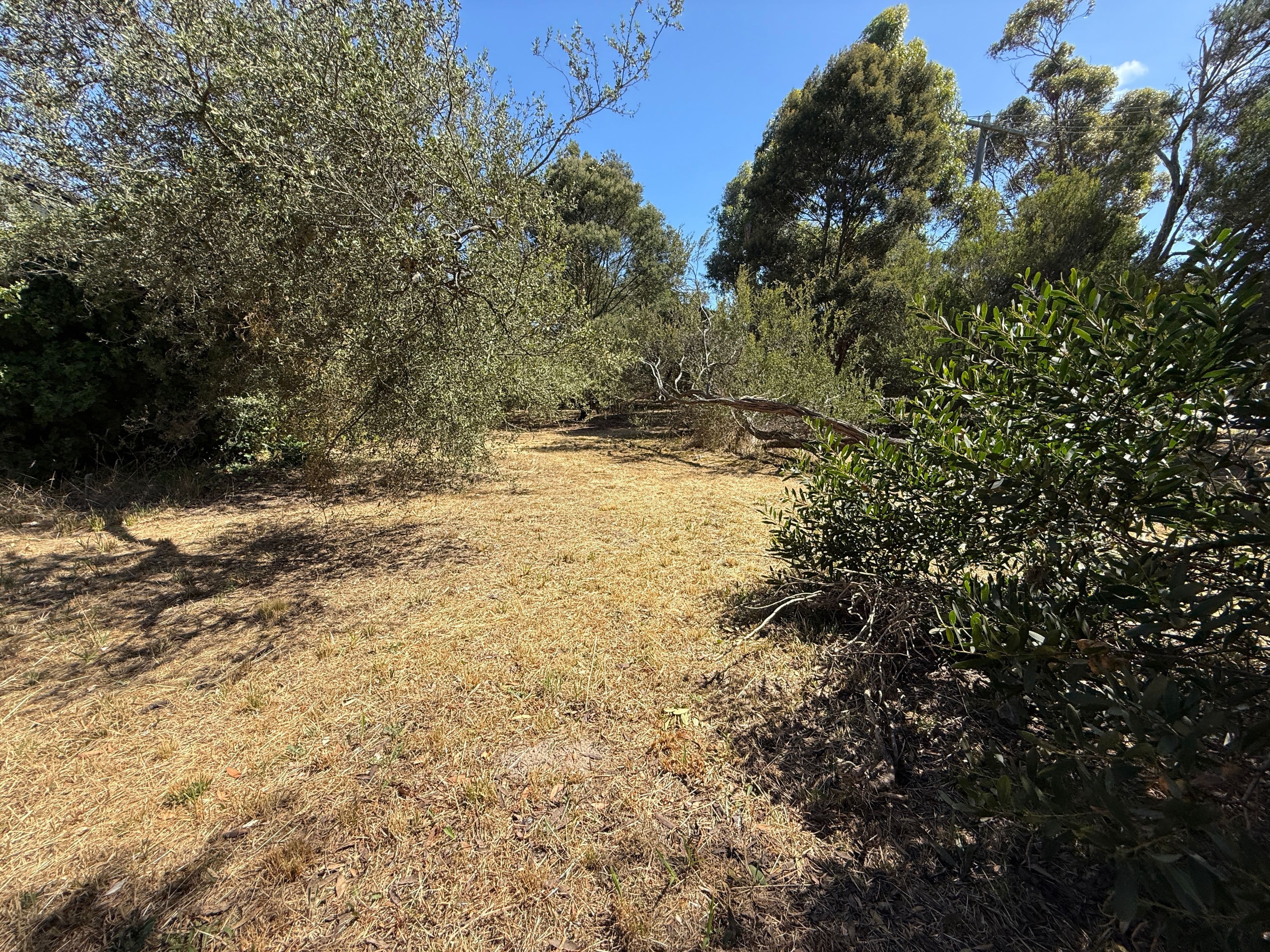 105 Swans Way, Capel Sound VIC 3940, Capel Sound - Thumbnail 4