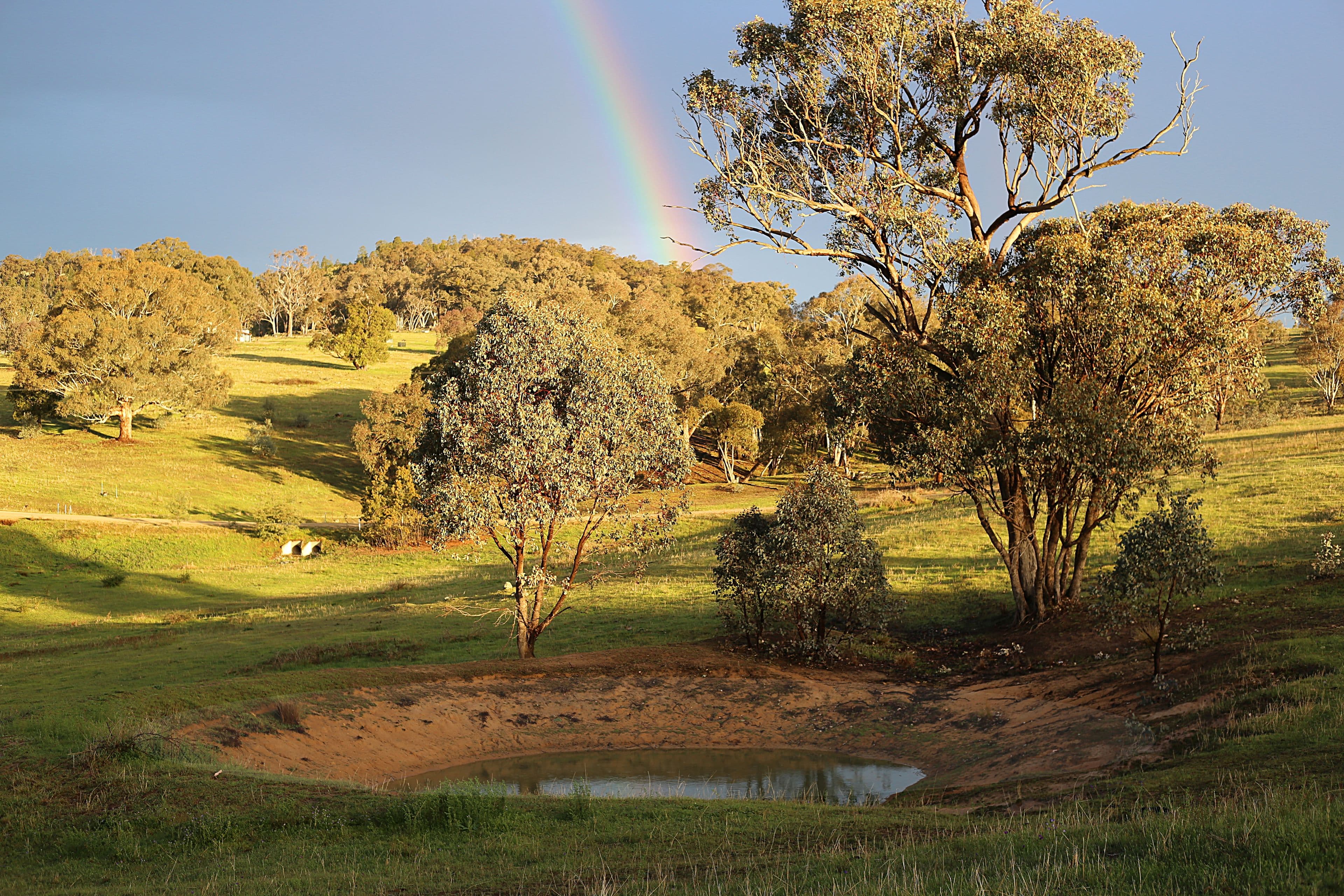 268 Horton Drive, Woodstock NSW 2793, Woodstock - Thumbnail 4