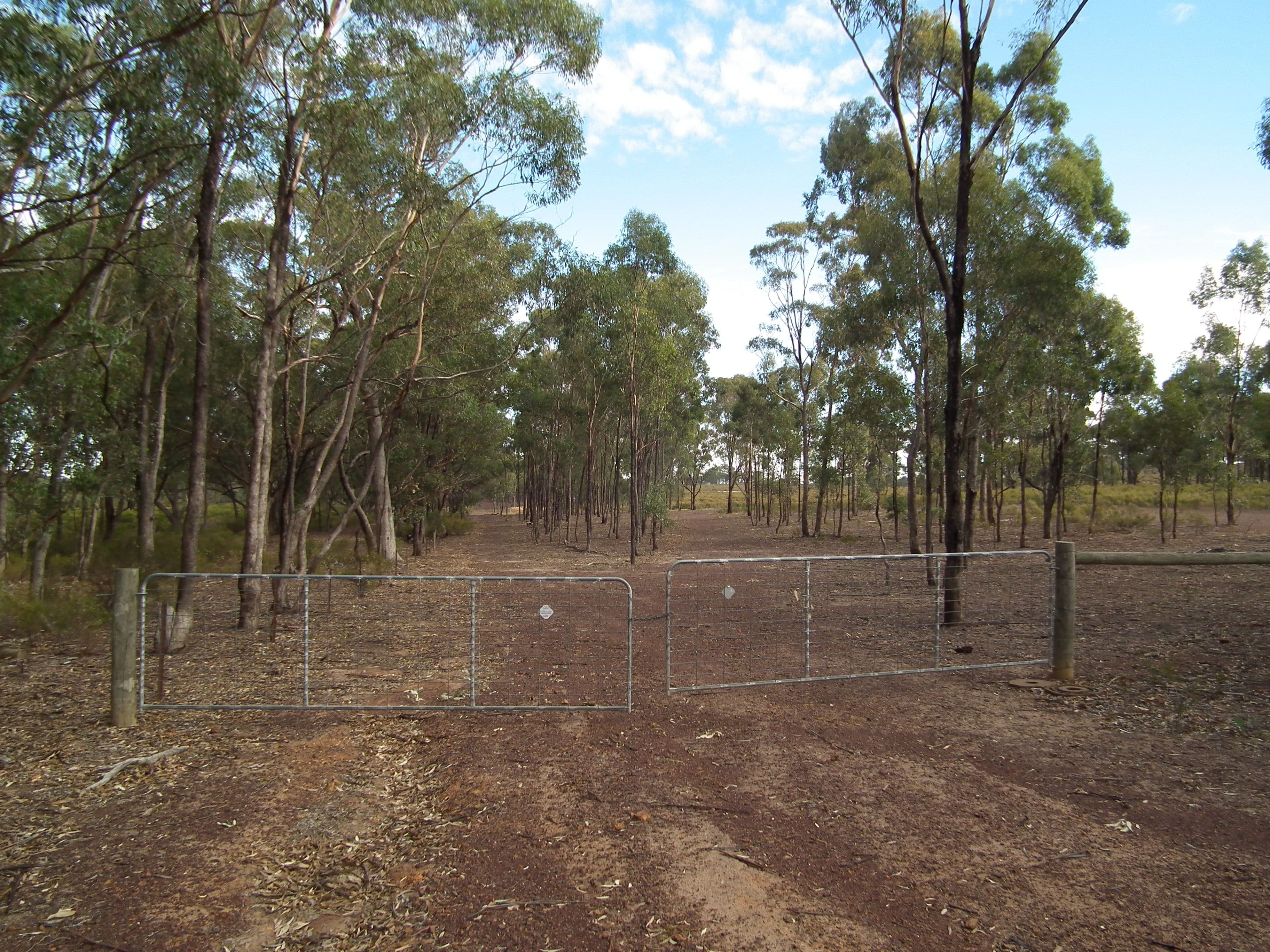 419 Buffalo Swamp Road, Whroo VIC 3612, Whroo - Thumbnail 6