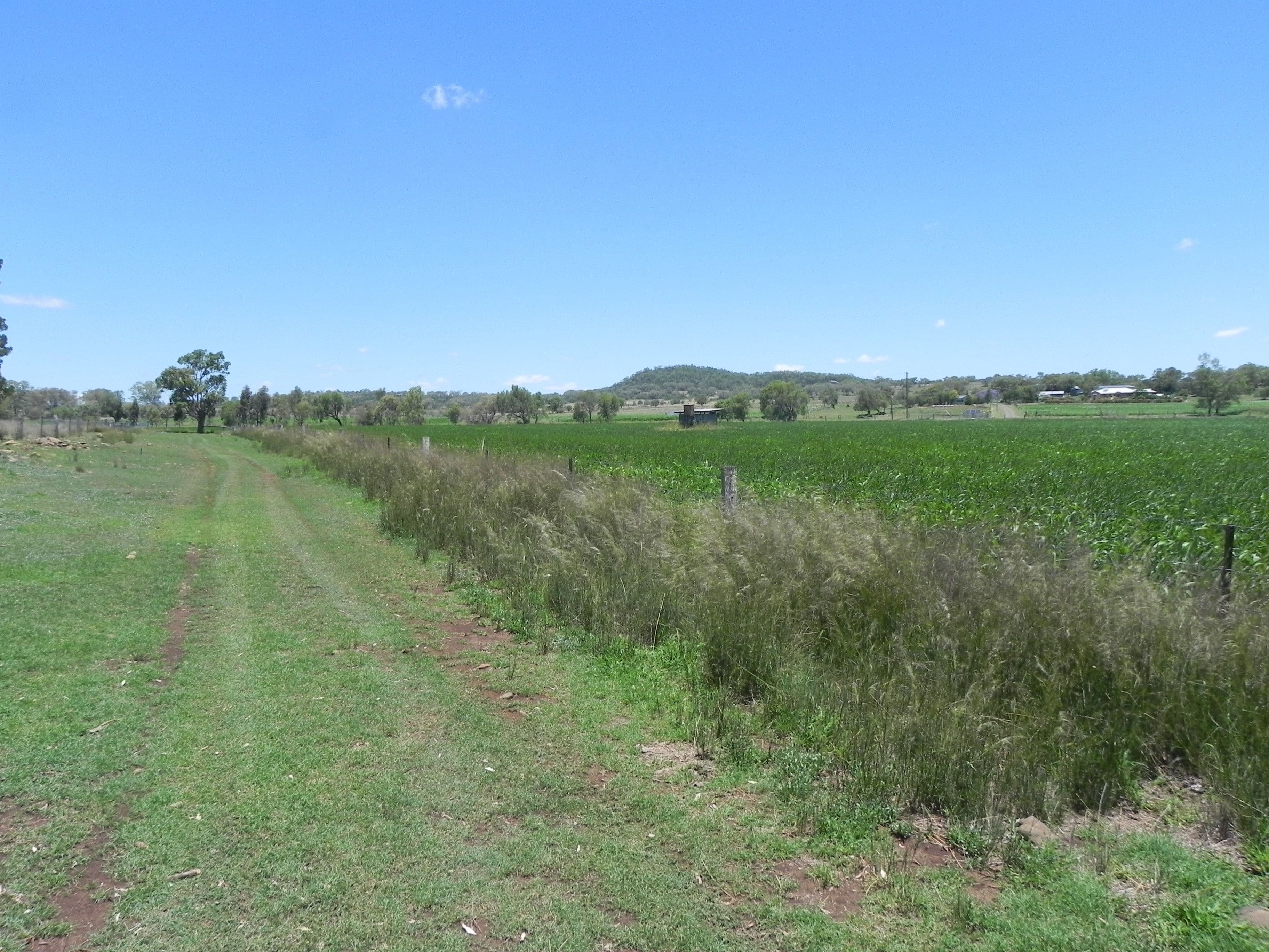 0 Wyangapinni Road, Stoneleigh, Pittsworth QLD 4356, Pittsworth - Thumbnail 4