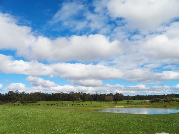 Lot 120 McKelvie Road, Nannup WA 6275, Nannup - Image 1