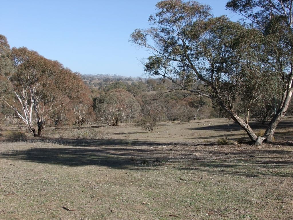 Bathurst NSW 2795, Bathurst - Image 1