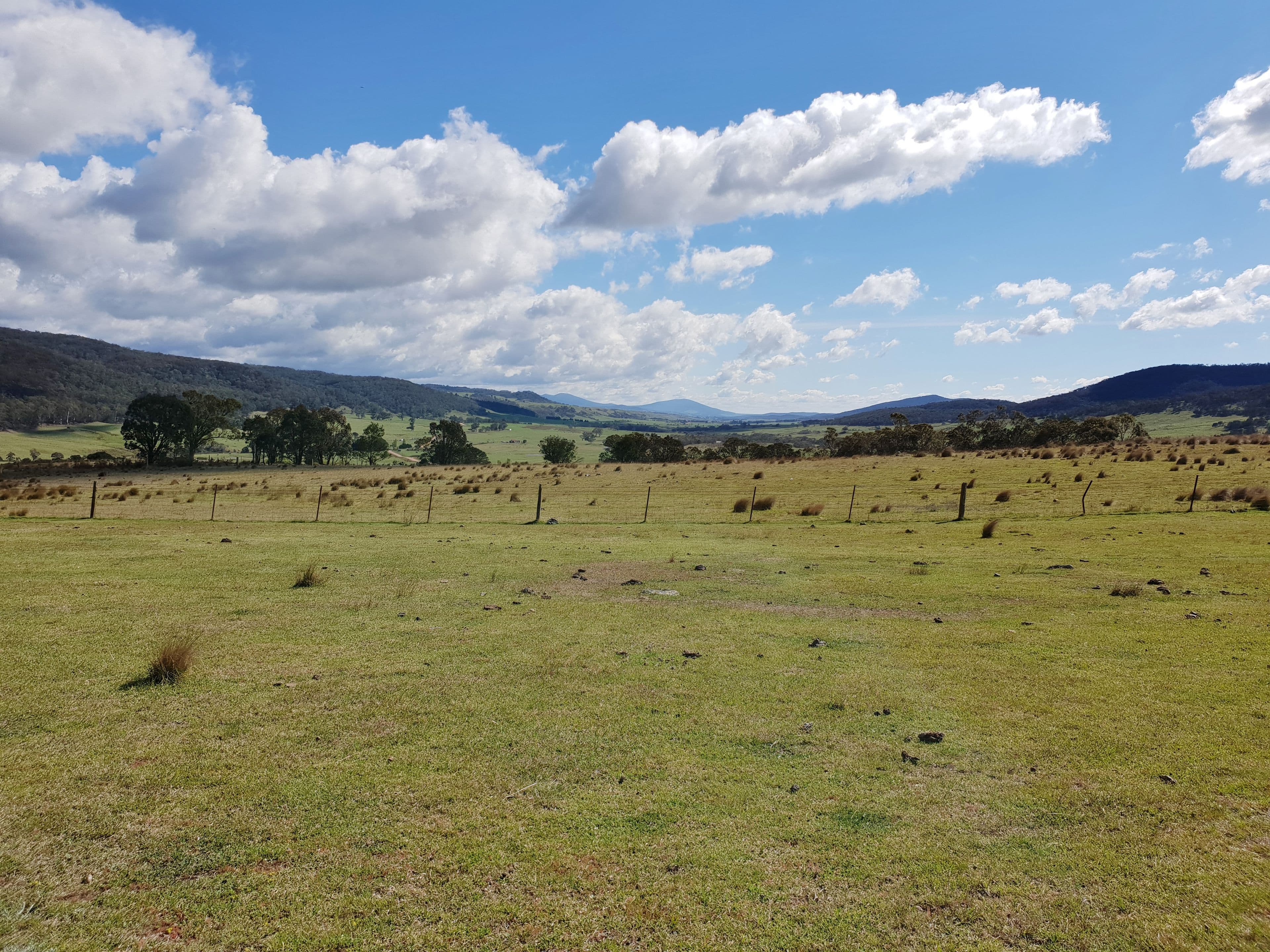 111 Hereford Hall Road, Hereford Hall, Braidwood NSW 2622, Braidwood - Thumbnail 5