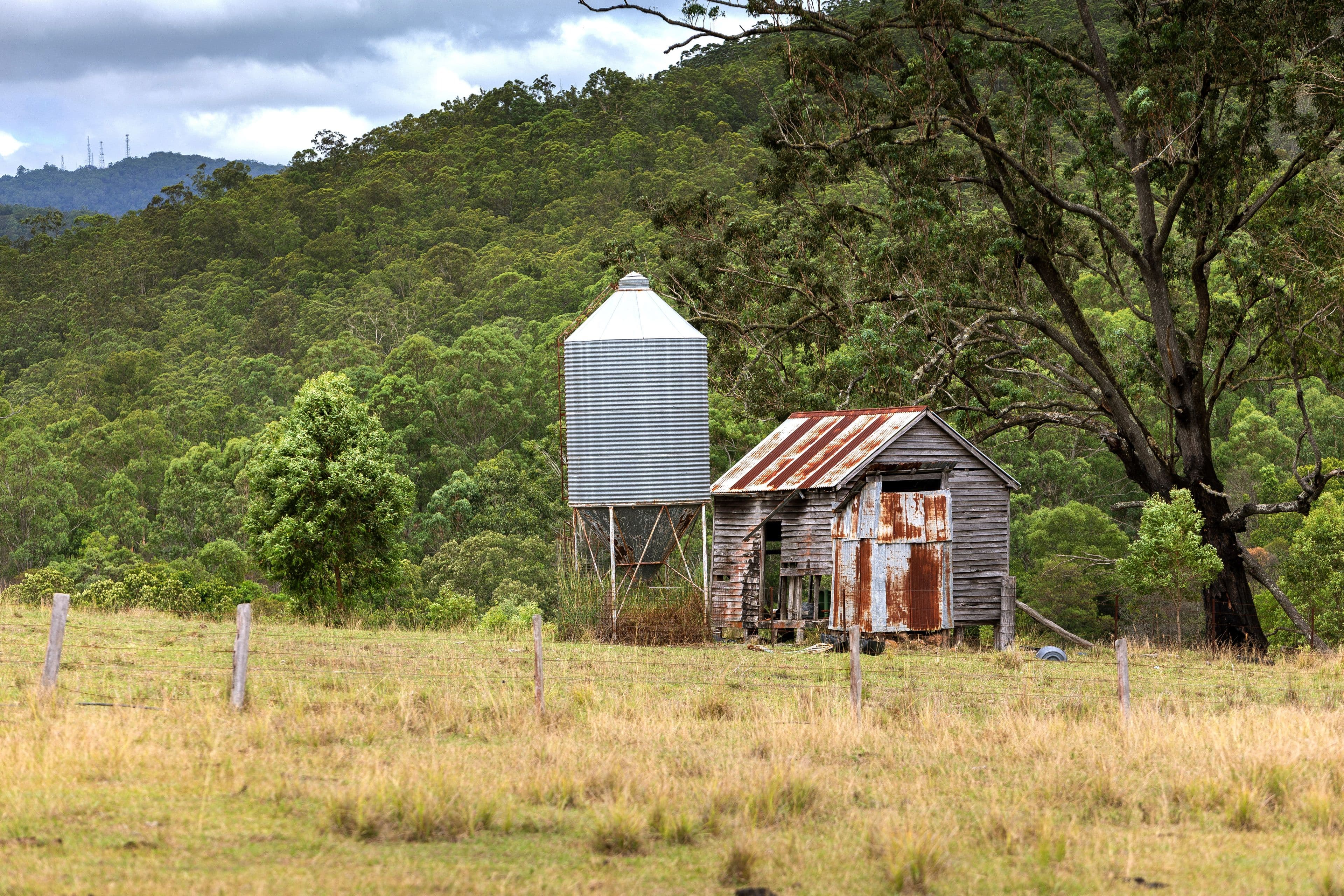 626 Black Flat Lane, Mount George NSW 2424, Mount George - Thumbnail 5