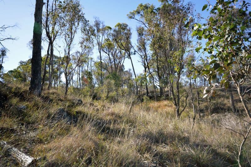 0 BOURNES Road, Yangan QLD 4371, Yangan - Thumbnail 3