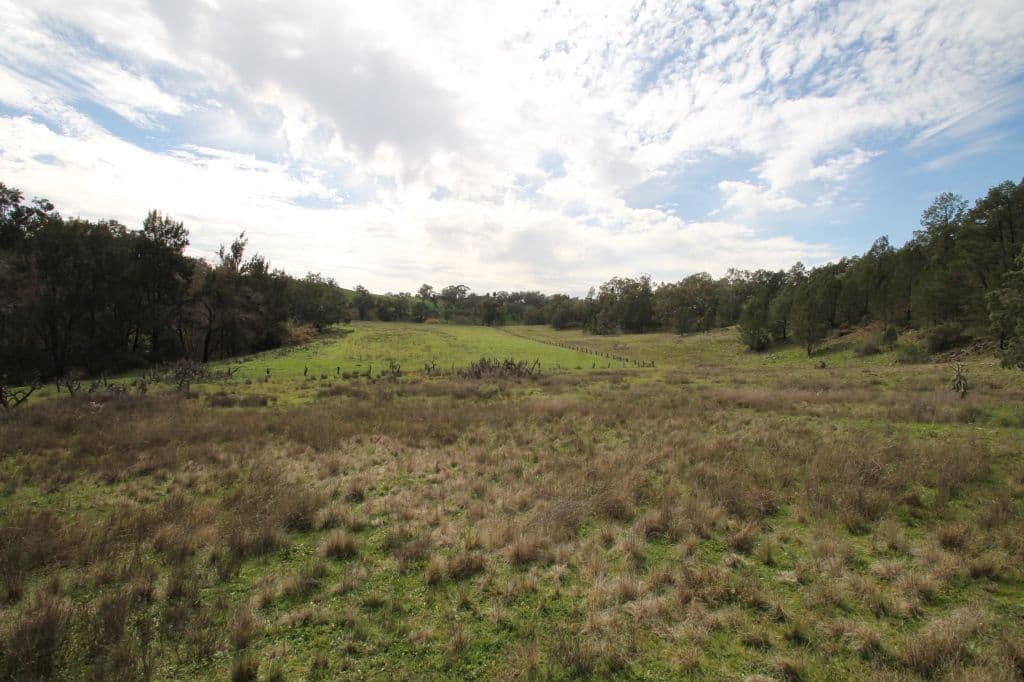 Lot 12 Grandview Place, Quirindi NSW 2343, Quirindi - Thumbnail 6