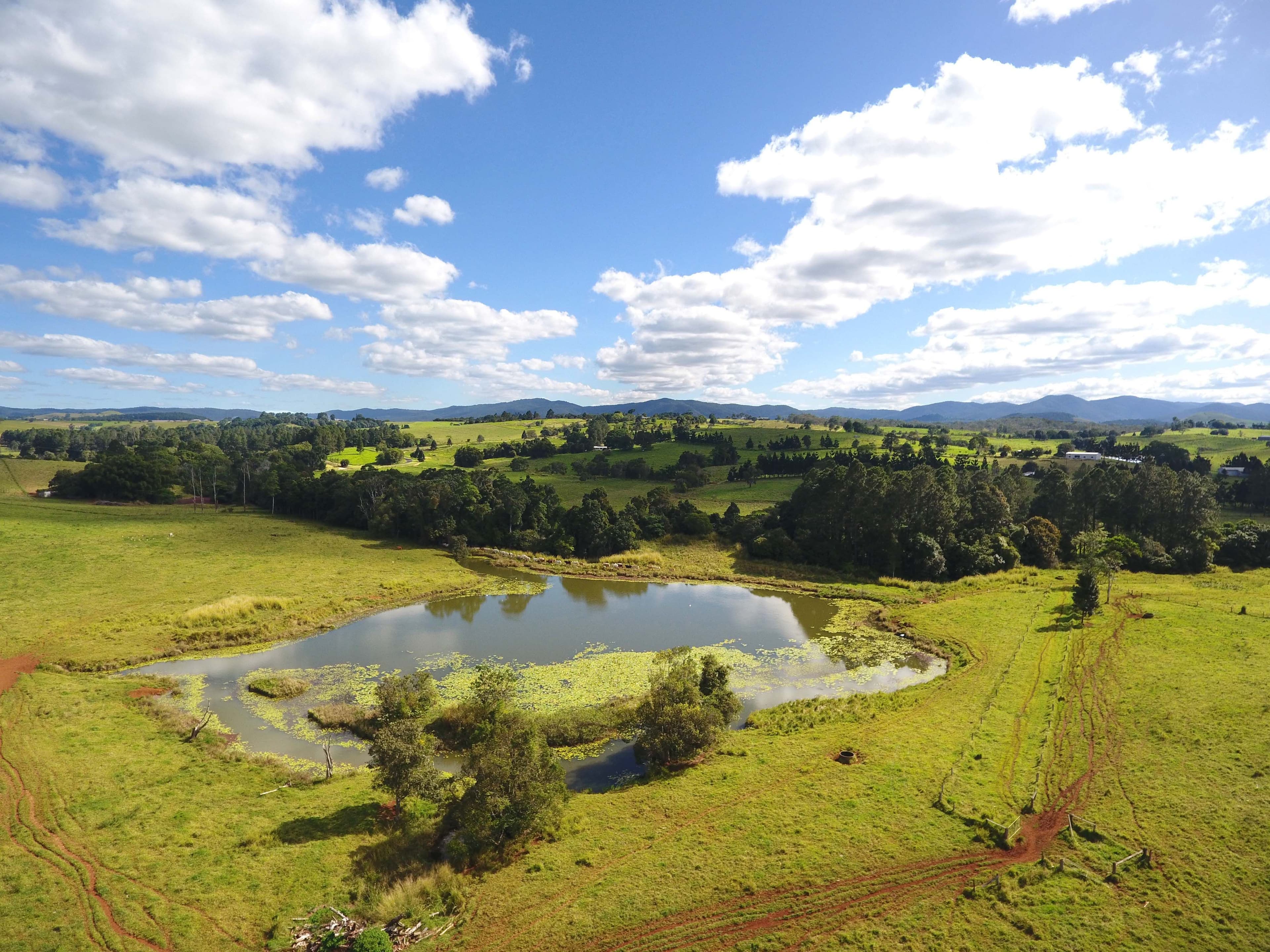 128 Andrickson Road, Upper Barron QLD 4883, Upper Barron - Thumbnail 2