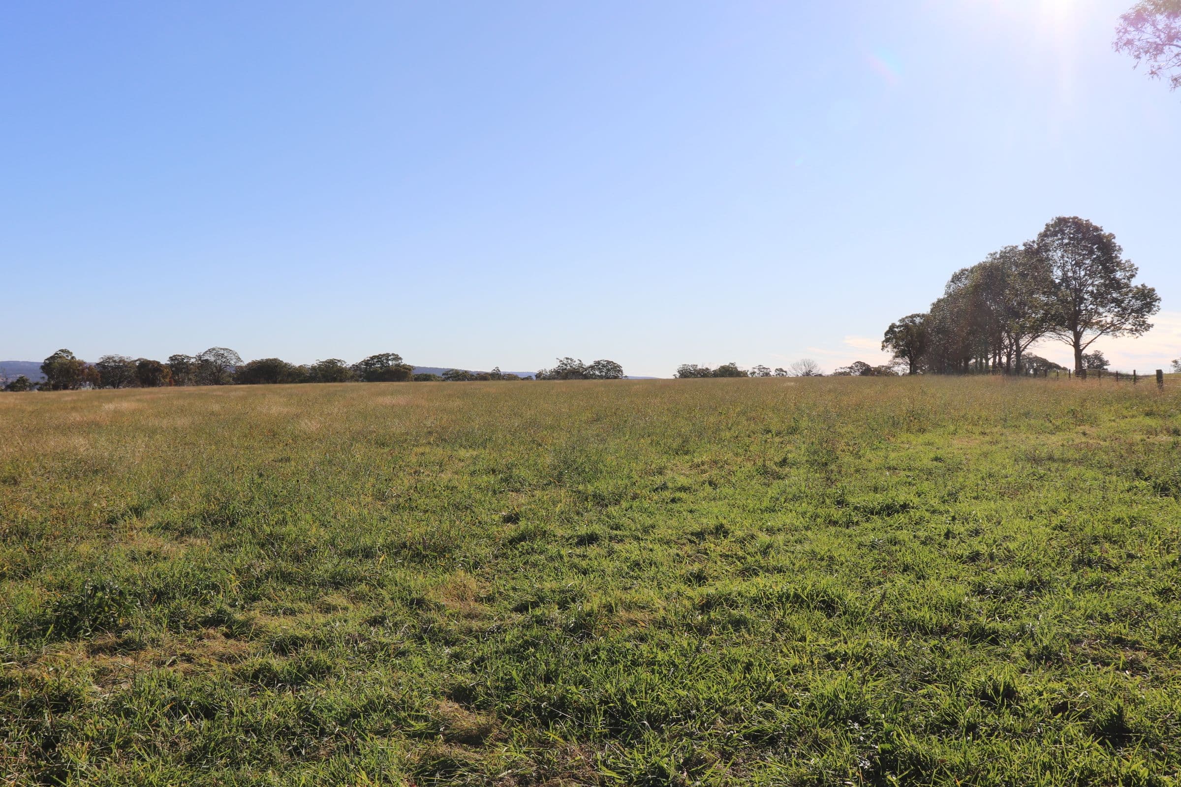 389 Oslo Road, Reddestone NSW 2370, Reddestone - Thumbnail 3