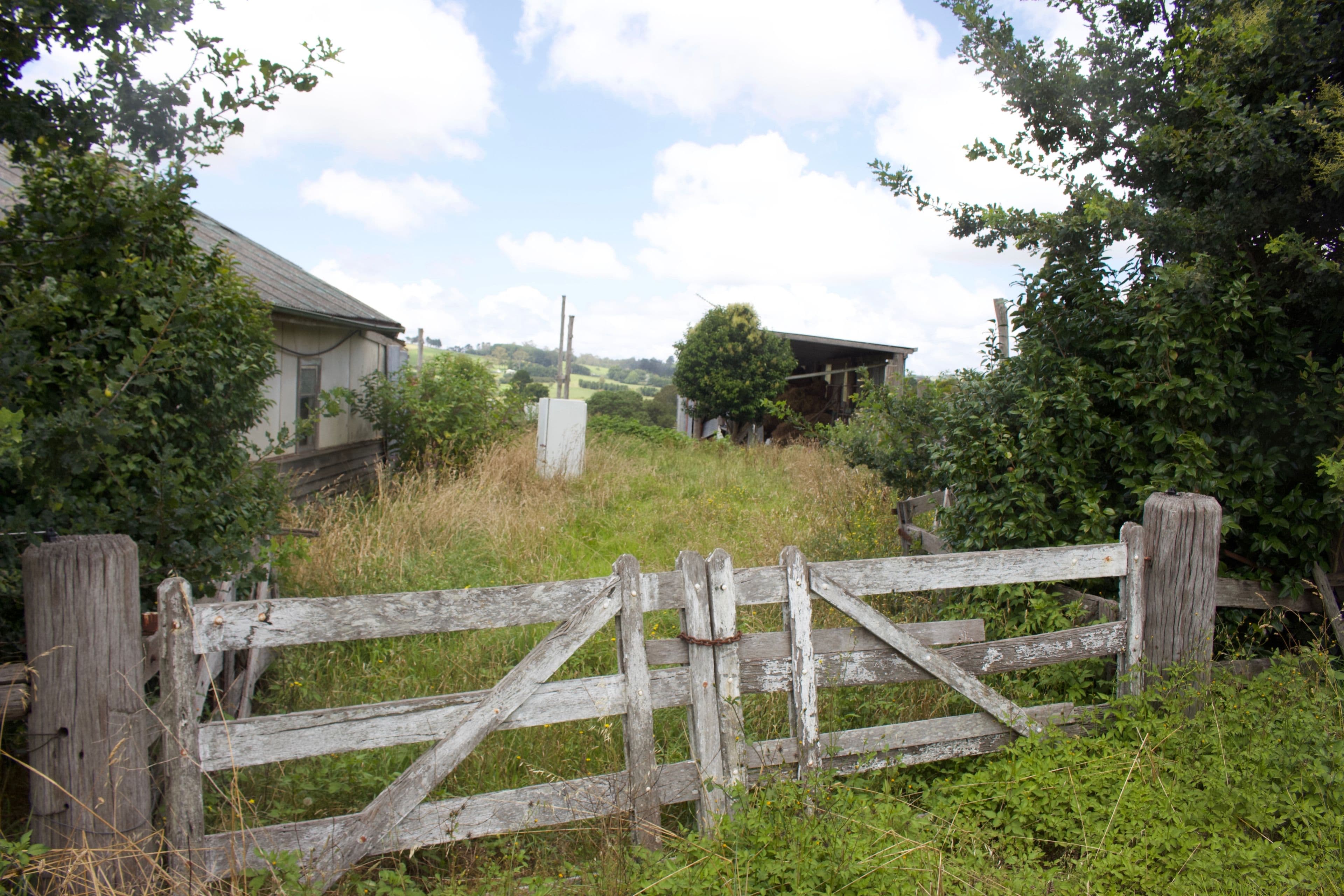 4303 Waterfall Way, Dorrigo NSW 2453, Dorrigo - Thumbnail 4