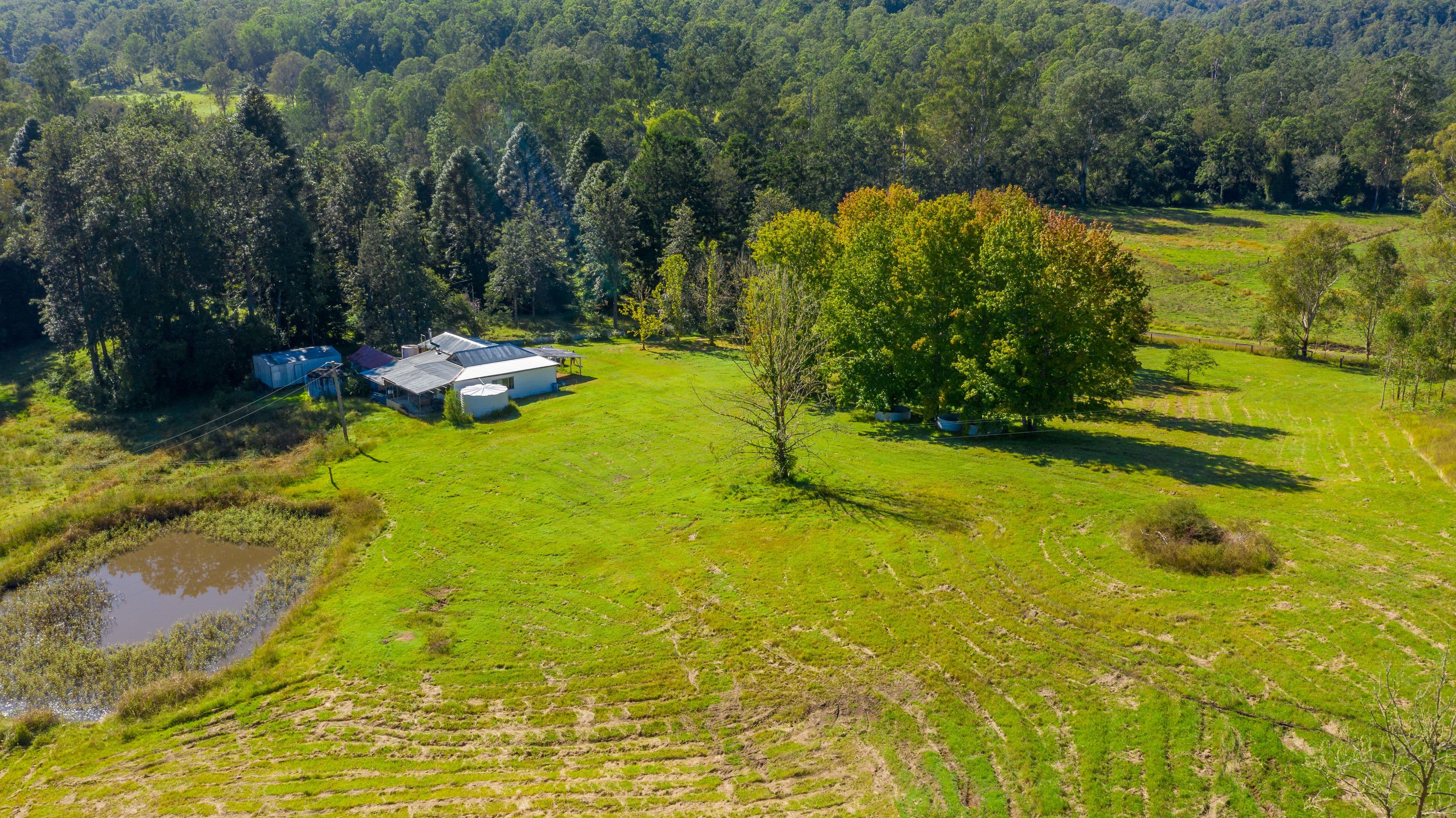 937 Duck Creek Road, Old Bonalbo NSW 2469, Old Bonalbo - Thumbnail 8