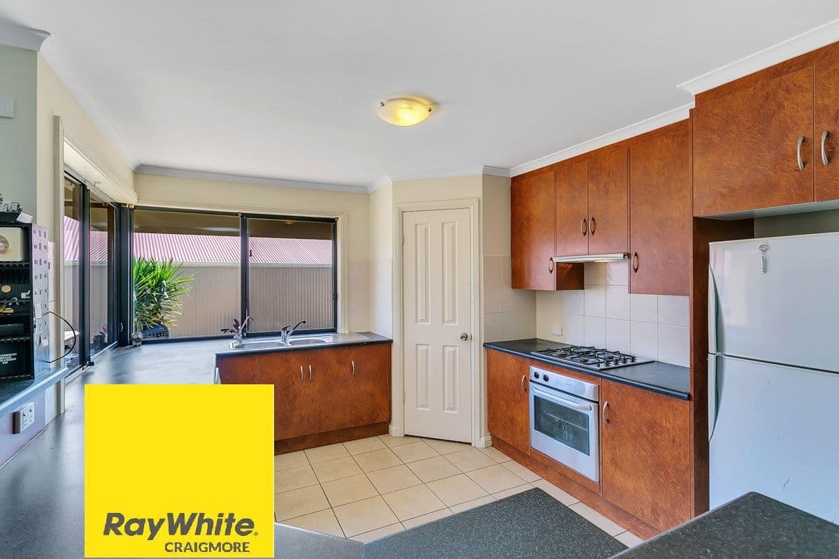 7 Norman Terrace, Blakeview SA 5114, Blakeview - Thumbnail 5
