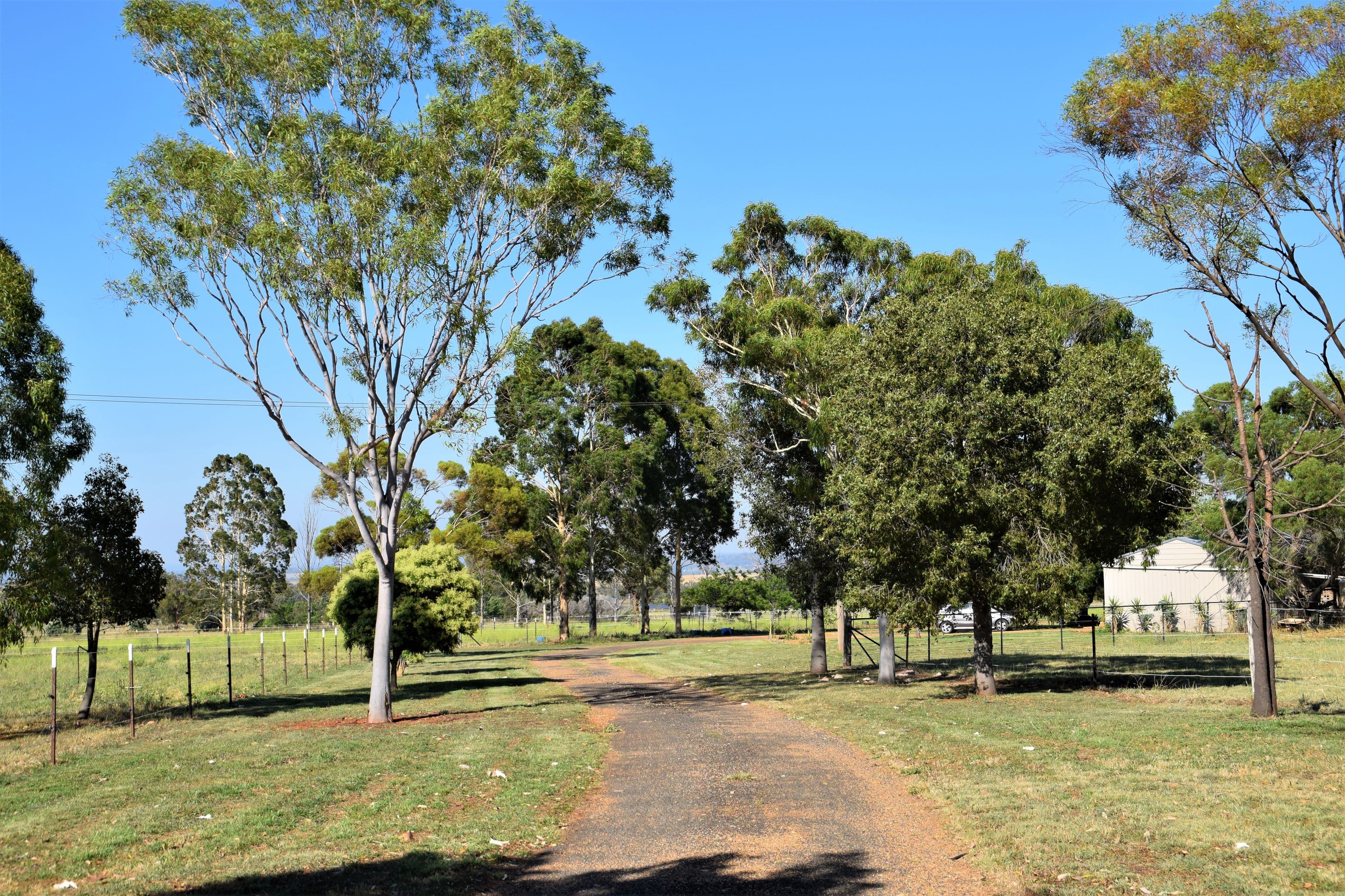'Pindari Lodge' 6R Kurrajong Drive, Dubbo NSW 2830, Dubbo - Thumbnail 3