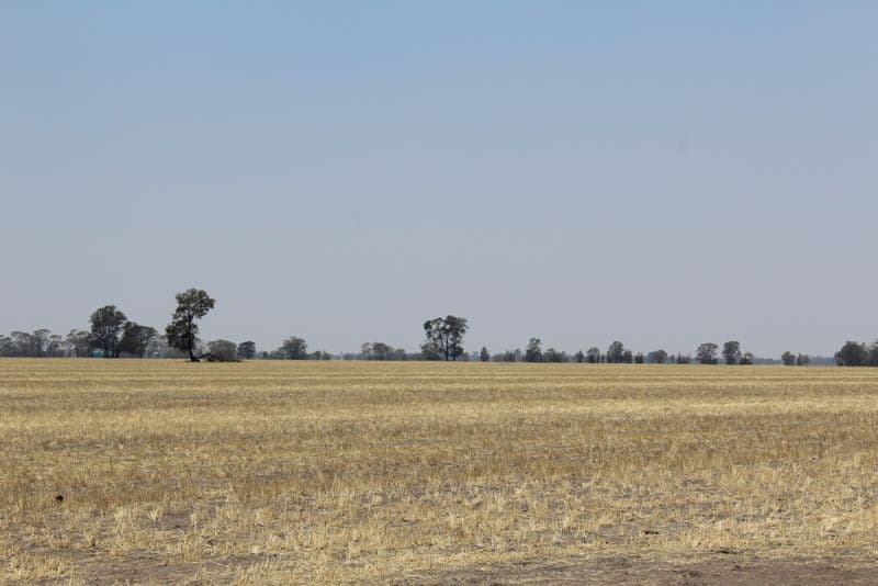 '' Kyona", Moree NSW 2400, Moree - Image 1
