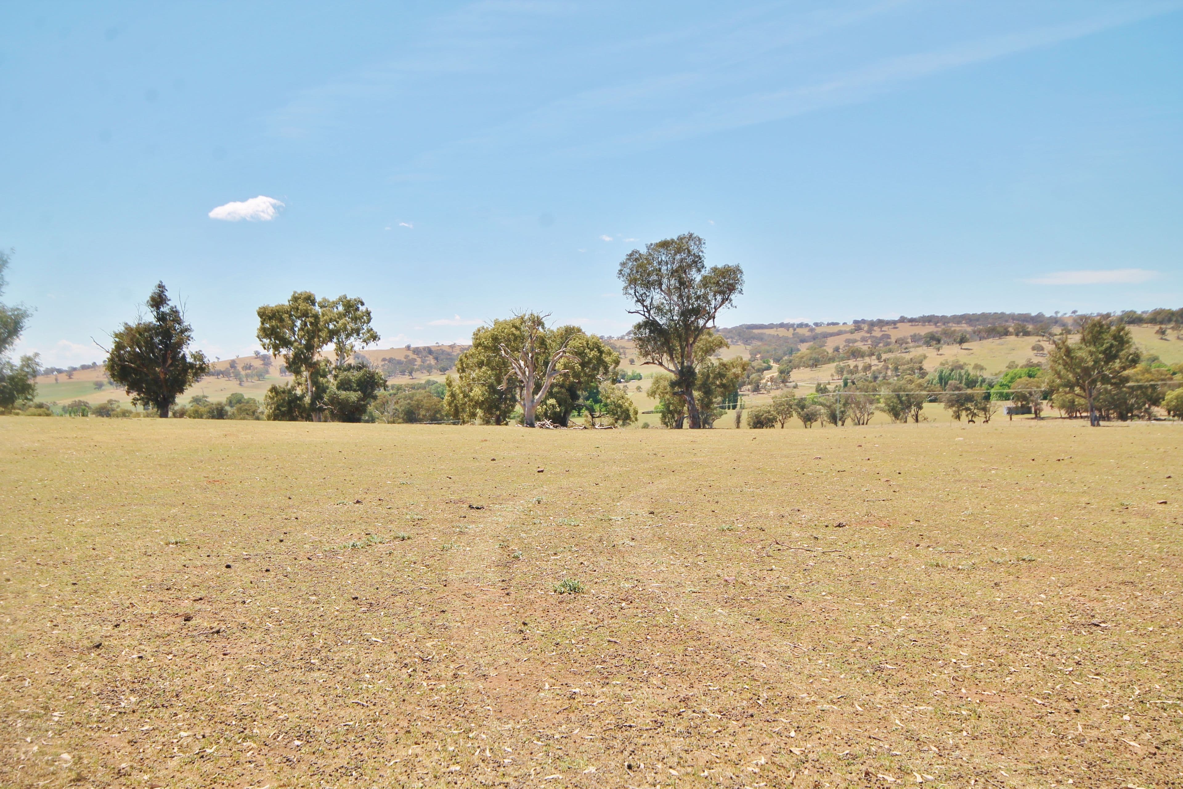 79 Dowling Drive Murringo via, Young NSW 2594, Young - Thumbnail 8