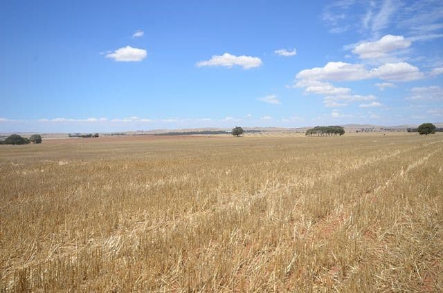 "Bills" Farrell Flat Road, Farrell Flat SA 5416, Farrell Flat - Thumbnail 3