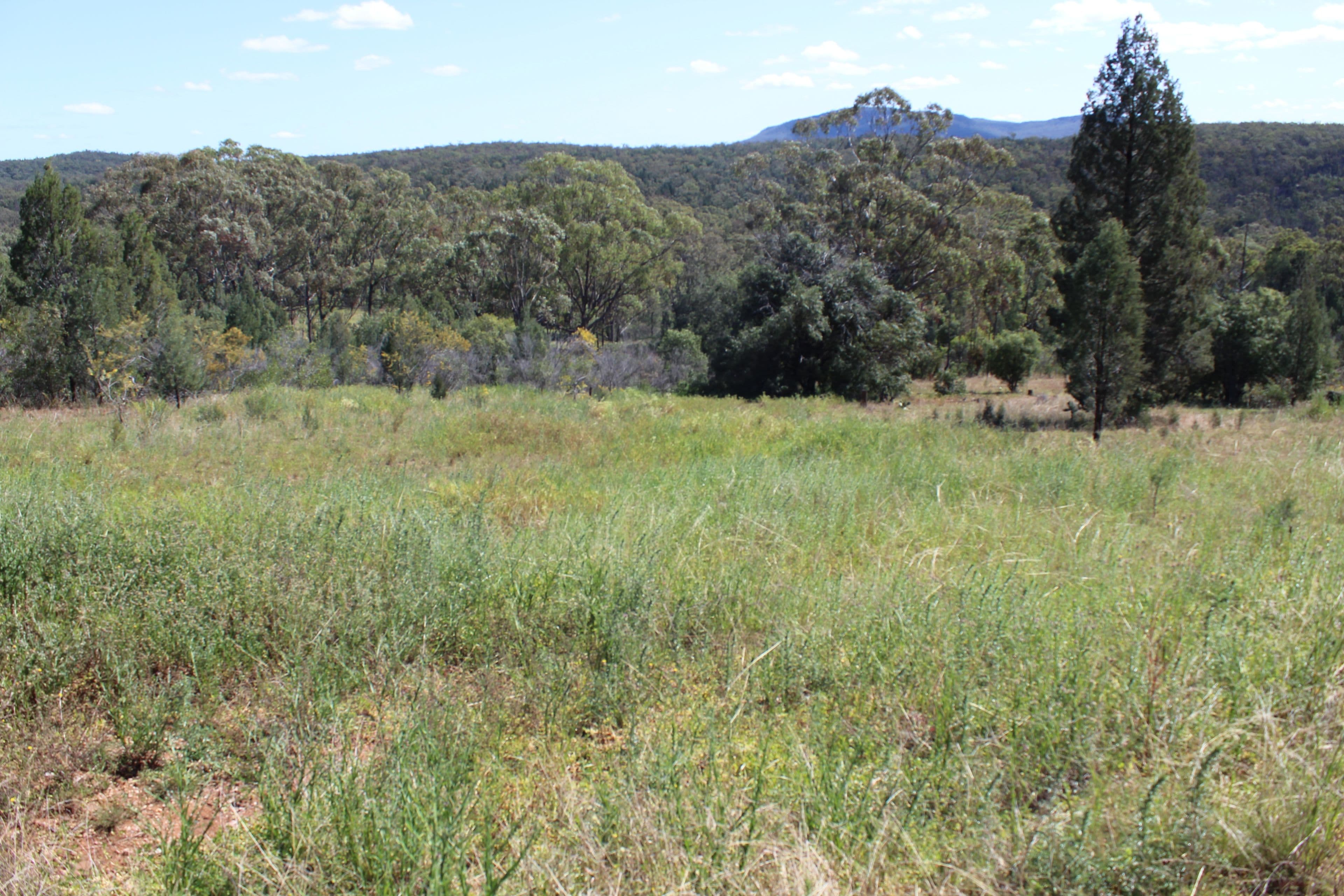 1633 Wandobah Road, Gunnedah NSW 2380, Gunnedah - Thumbnail 5