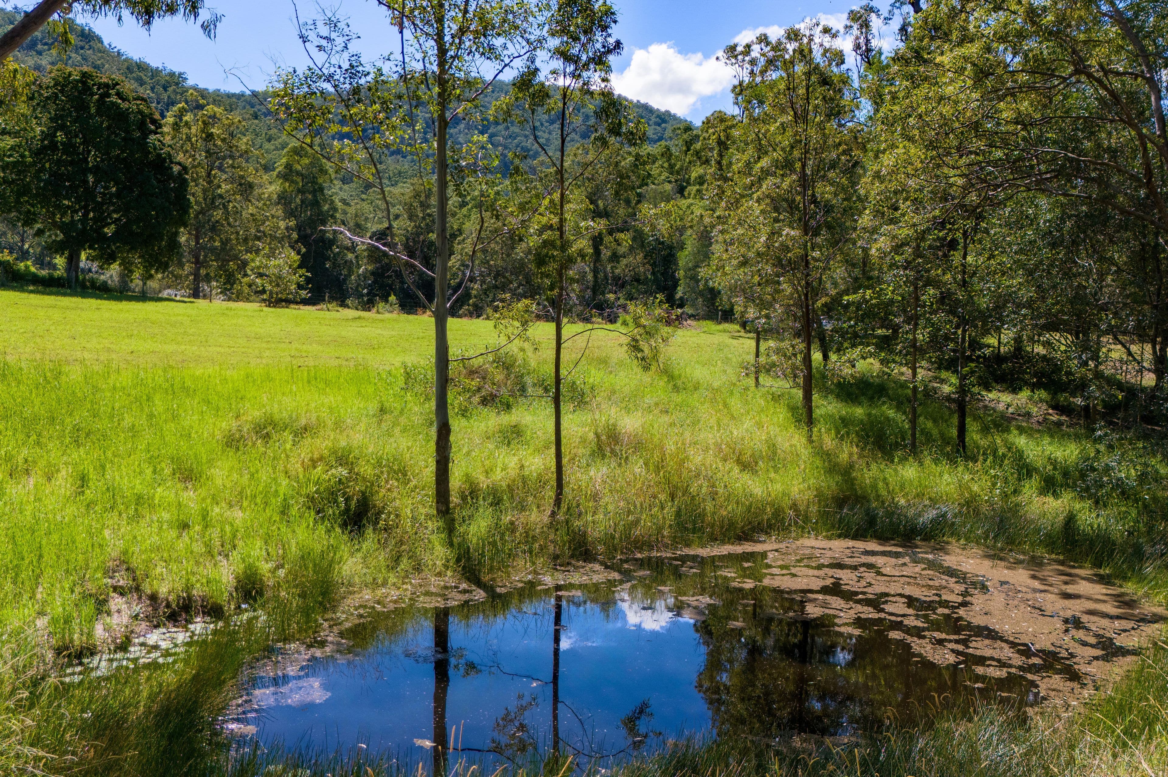 Lot 1 622 Cedar Creek Road, Cedar Creek QLD 4520, Cedar Creek - Thumbnail 7