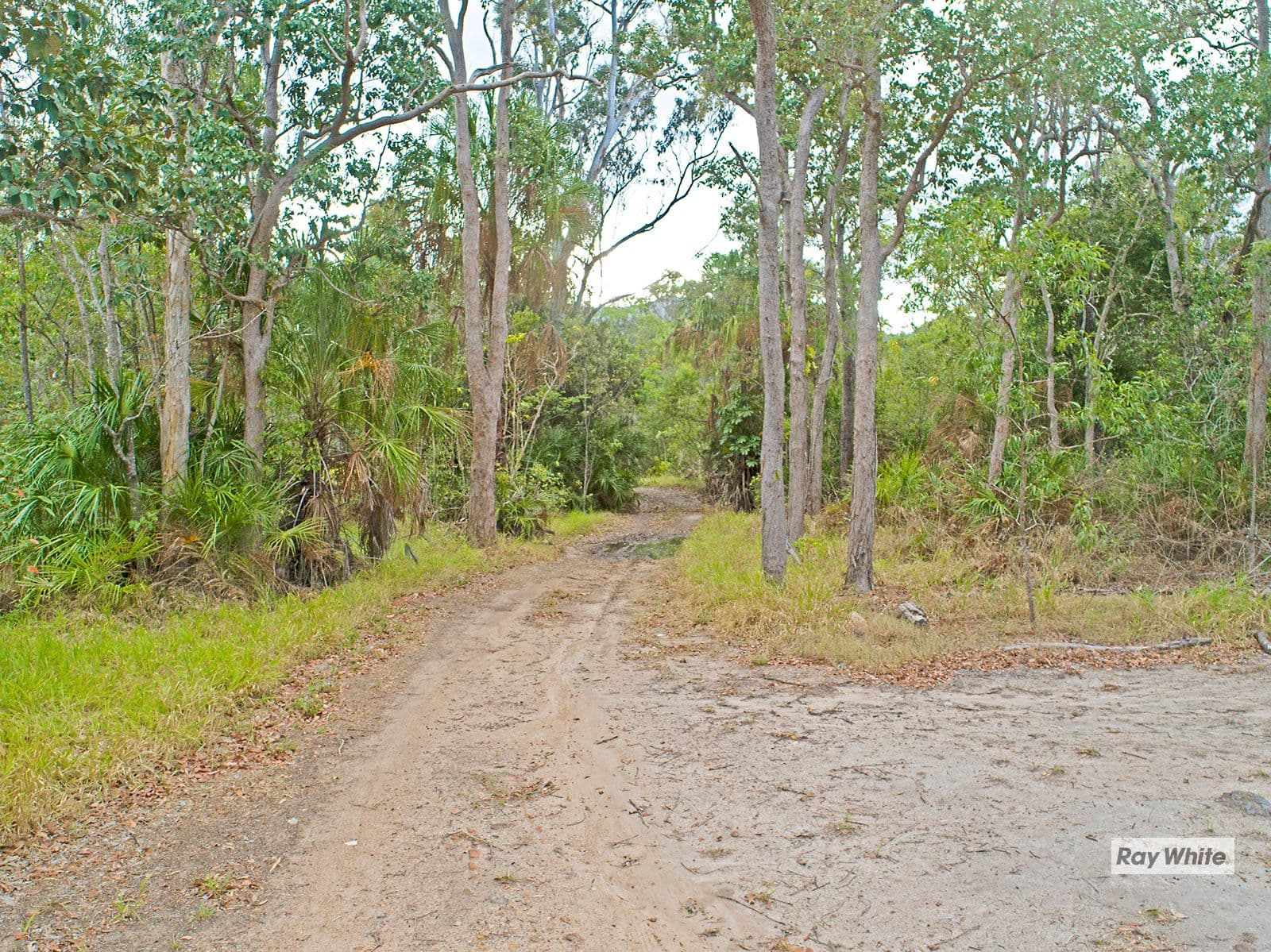 2275 Byfield Road, Byfield QLD 4703, Byfield - Thumbnail 5