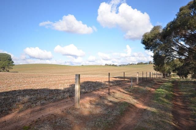 "Huxley's'" Curio Highway, Marrabel SA 5413, Marrabel - Thumbnail 7