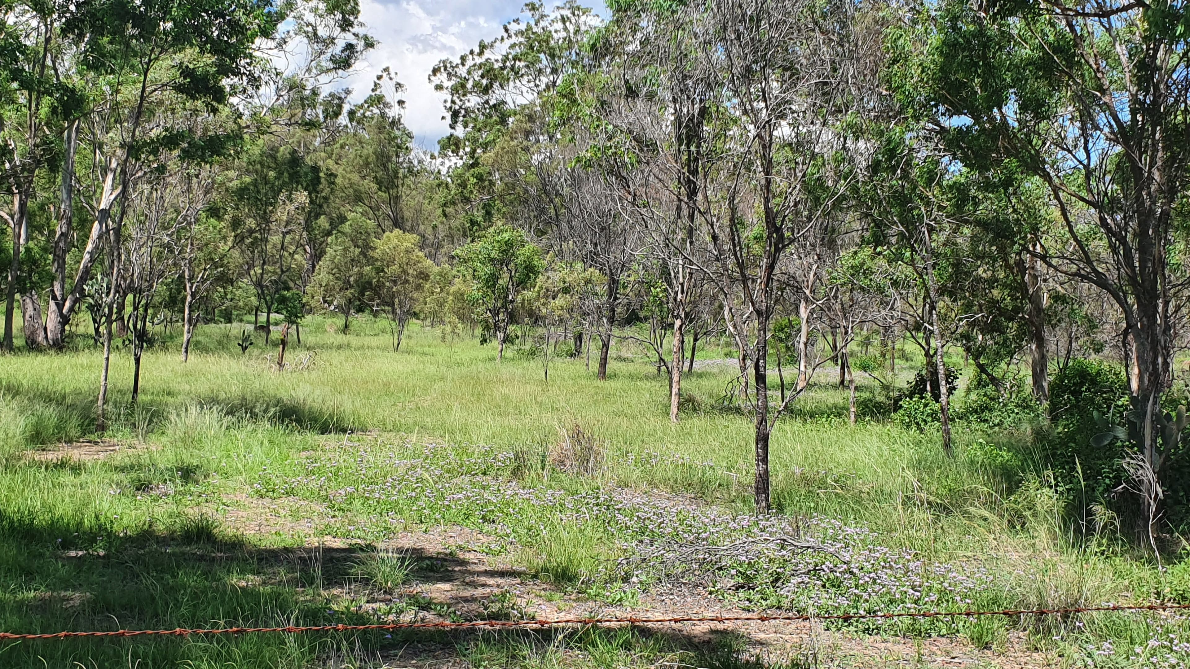 20 South Street, Crows Nest QLD 4355, Crows Nest - Thumbnail 4