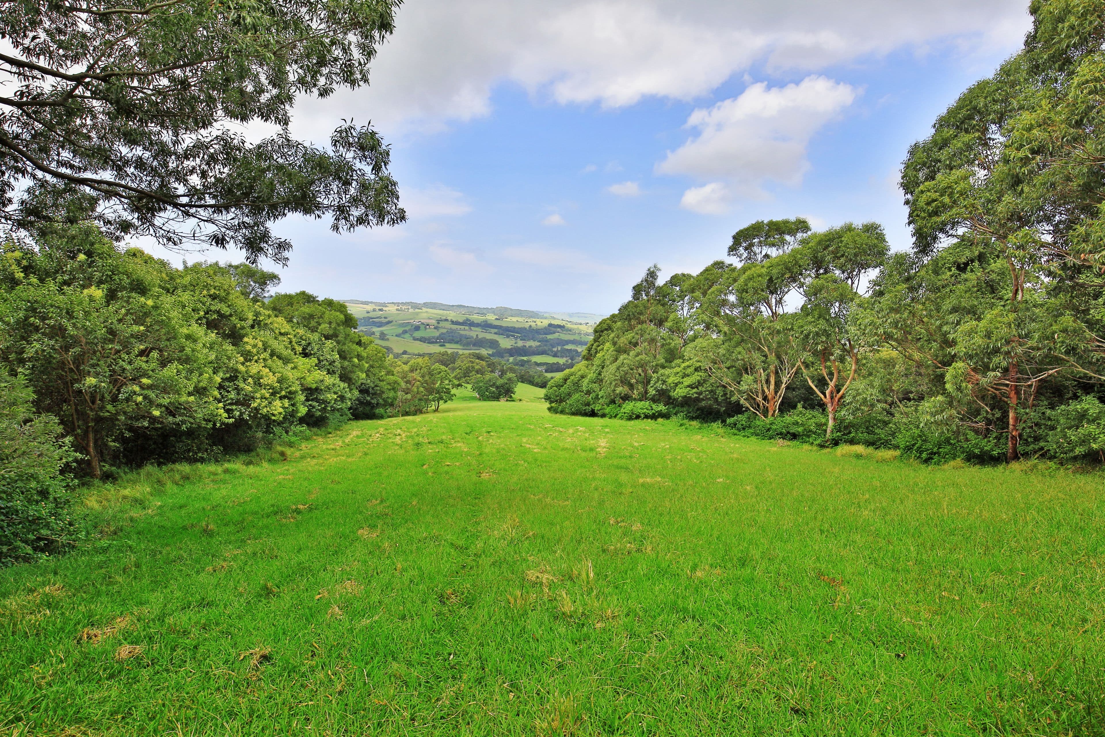 Lots 100  1001 Curramore Road, Jamberoo NSW 2533, Jamberoo - Thumbnail 6