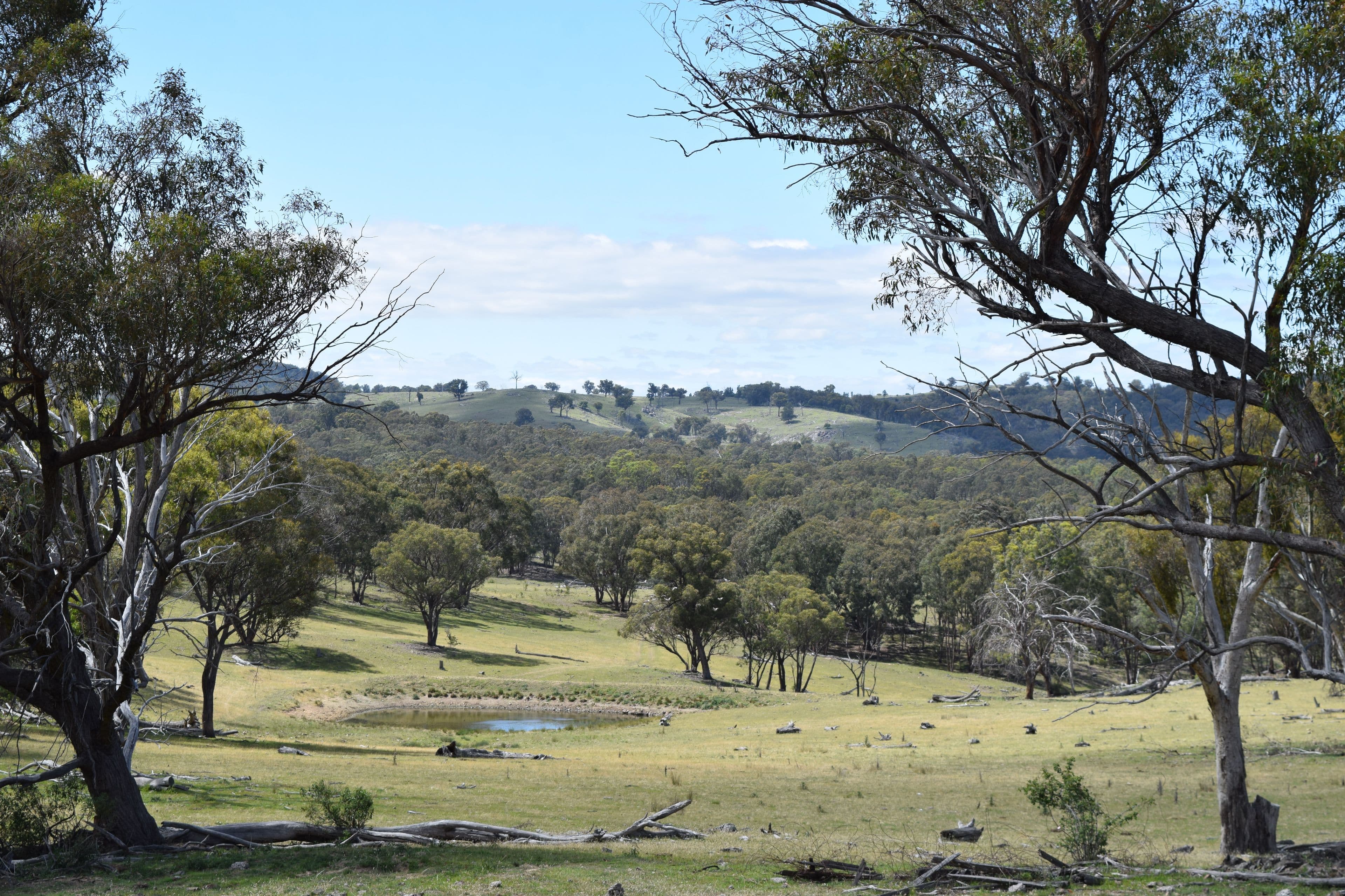 2201 Longford Road, Guyra NSW 2365, Guyra - Image 1
