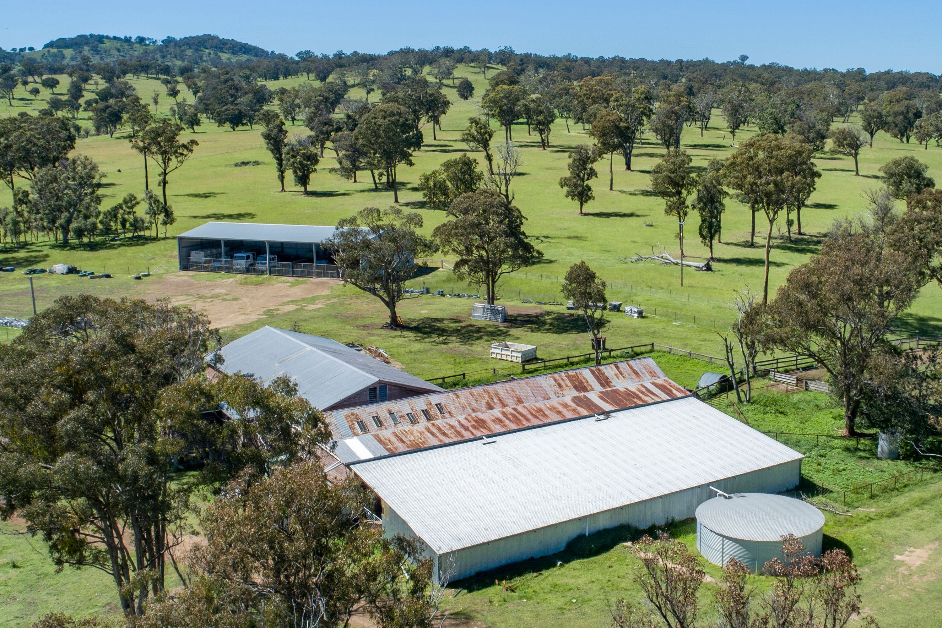 408 Bezzants Road, Deepwater NSW 2371, Deepwater - Thumbnail 7