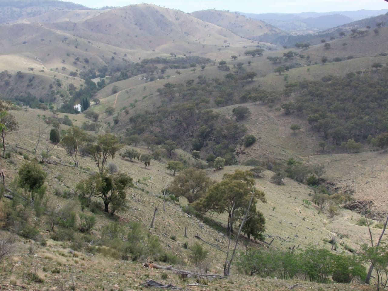 212 Quartz Ride Road, Turondale NSW 2795, Turondale - Thumbnail 6