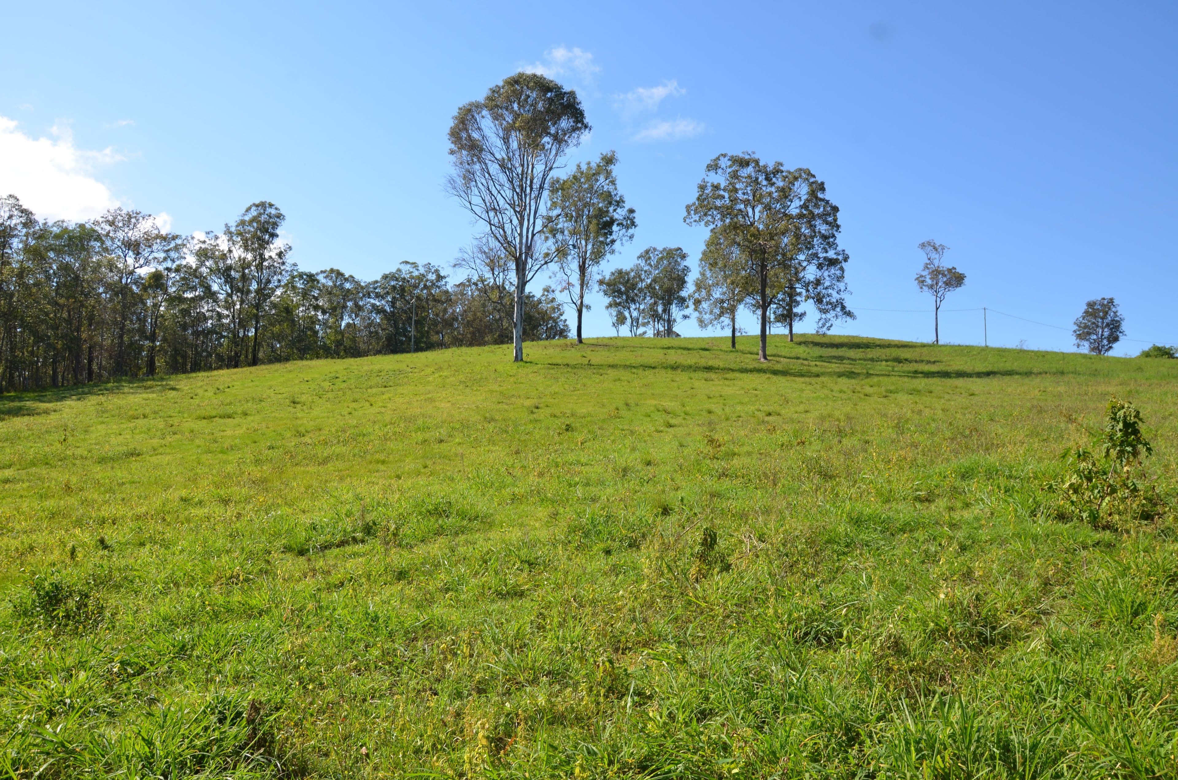 2598 Eumundi Kenilworth Road, Kenilworth QLD 4574, Kenilworth - Thumbnail 2